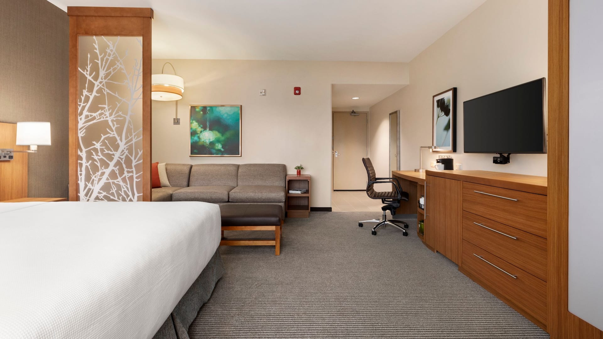 1 de 1 Hyatt Place Virginia Beach Town Center Accessible King Guestroom