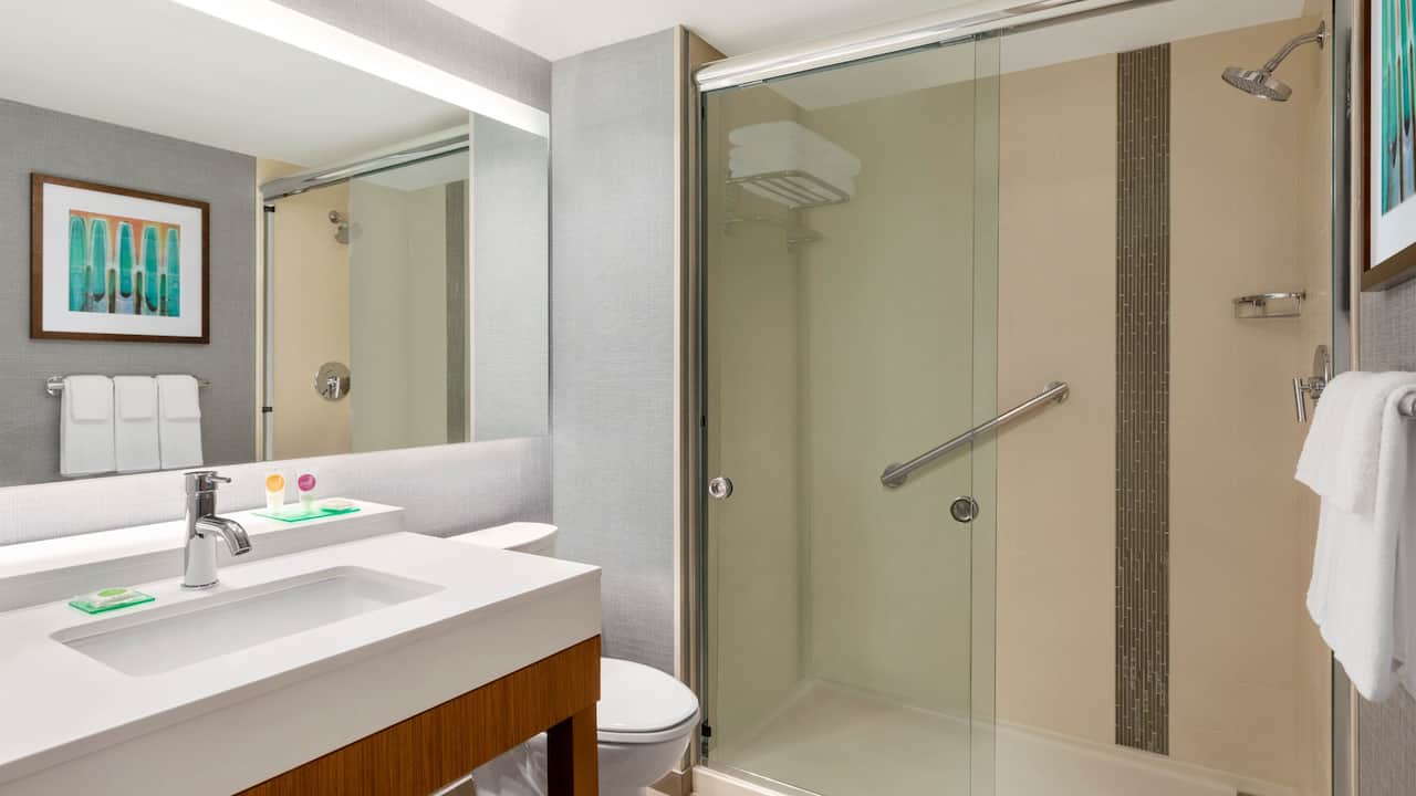 Guest Bathroom with Shower