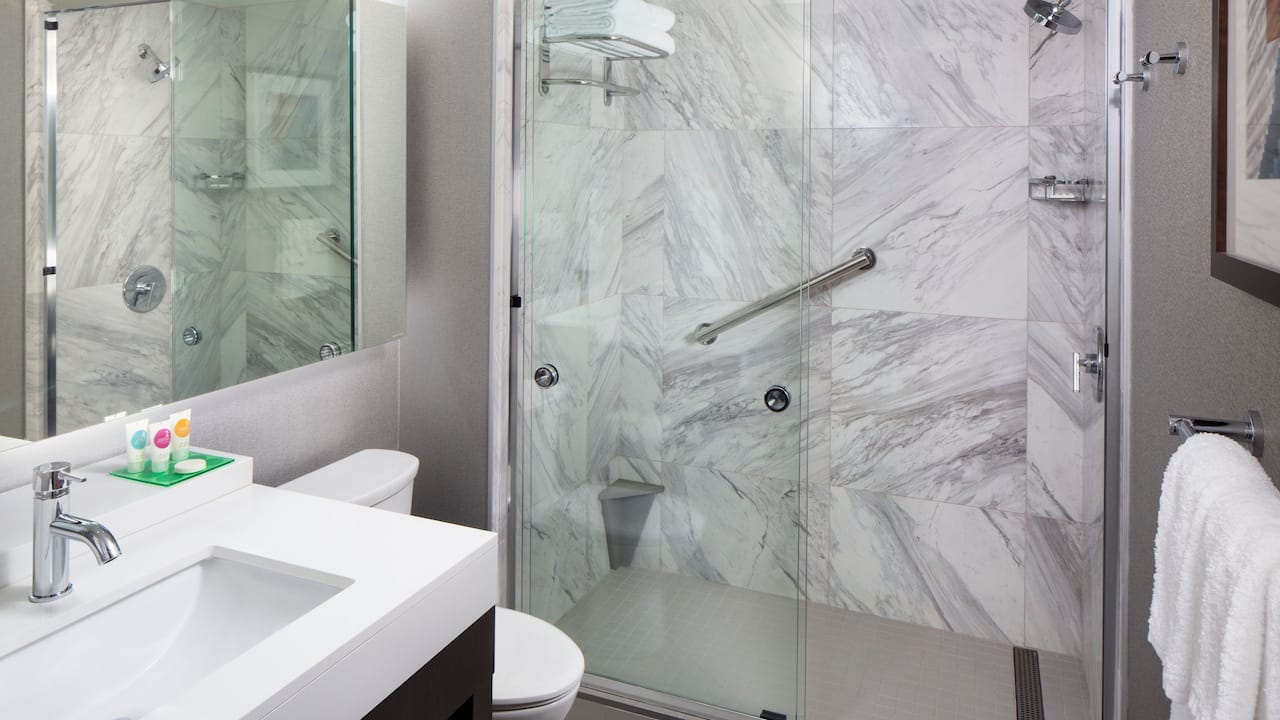 Guest Bathroom with Shower