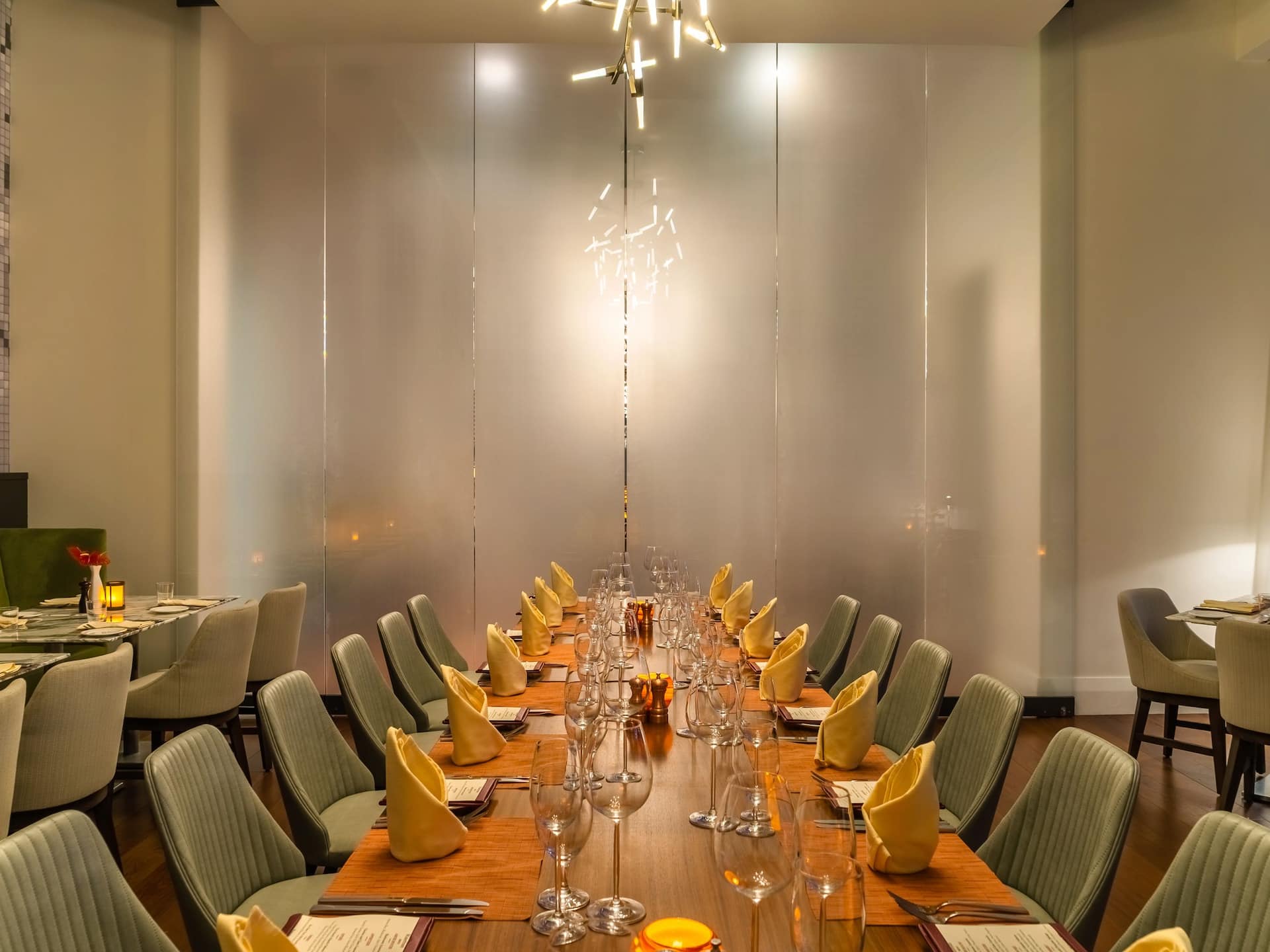 Hyatt Regency Trinidad Private Dining Room