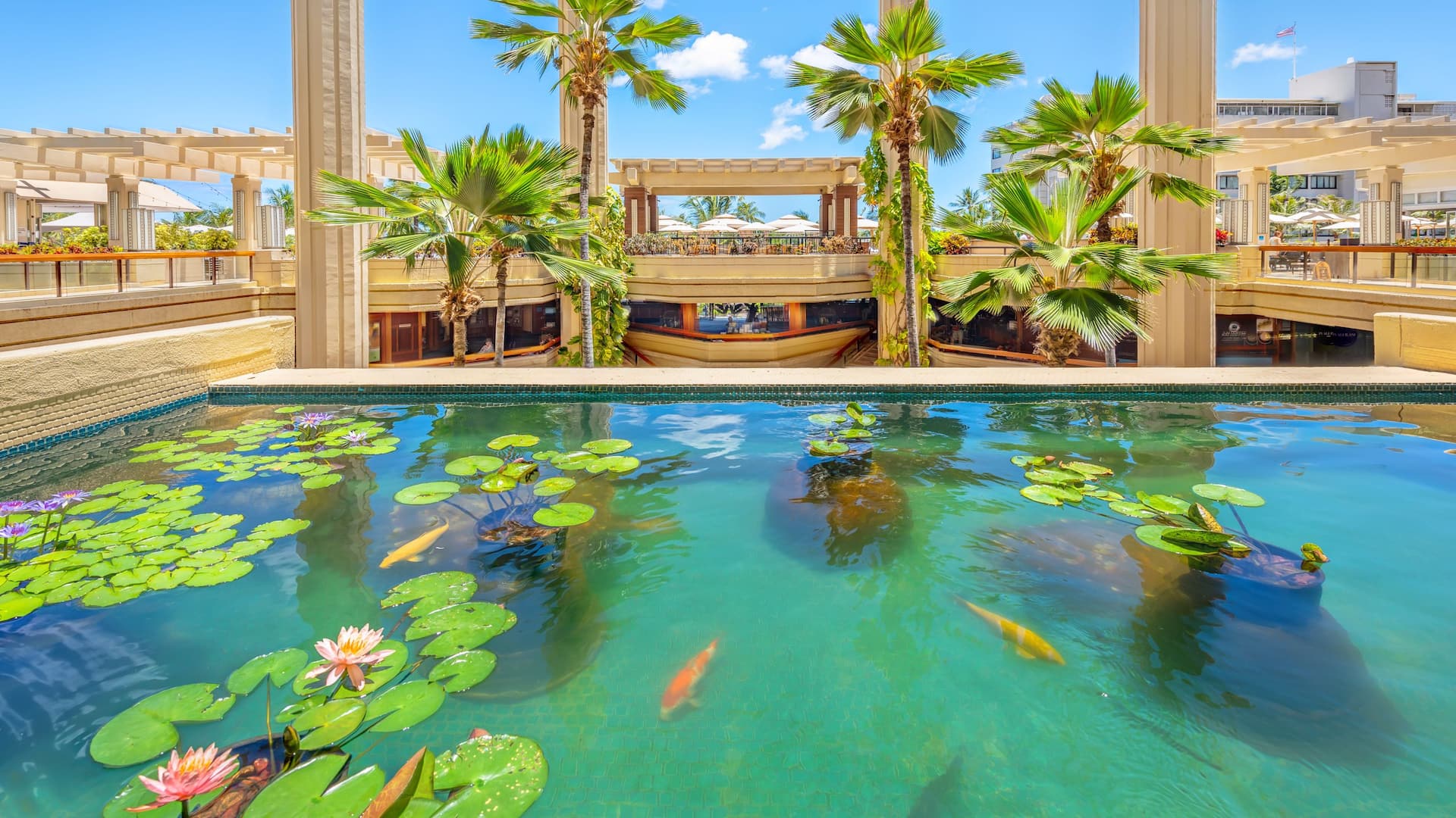 Hyatt Regency Waikiki Beach Resort and Spa Koi Pond