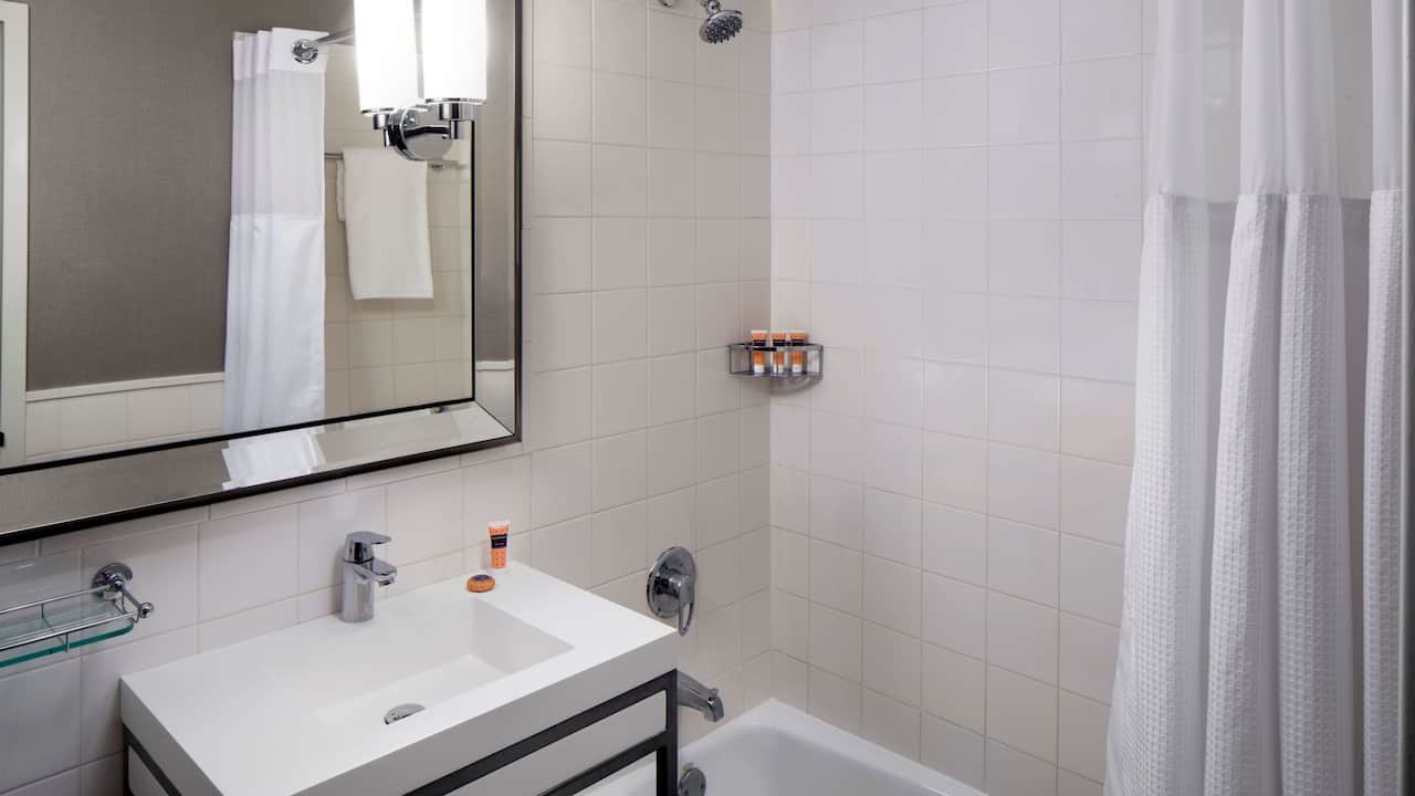 1 King Bed Bathroom