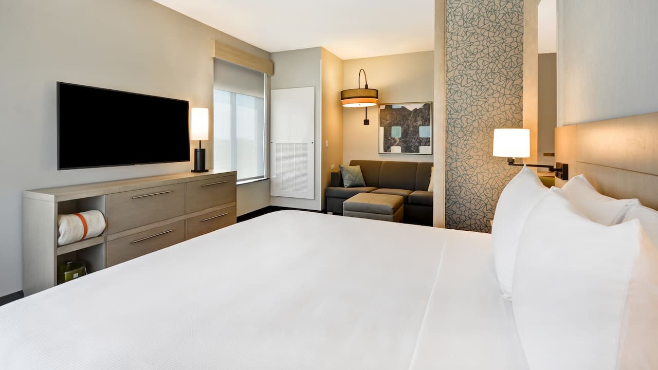 King Bed with television and sofa-sleeper