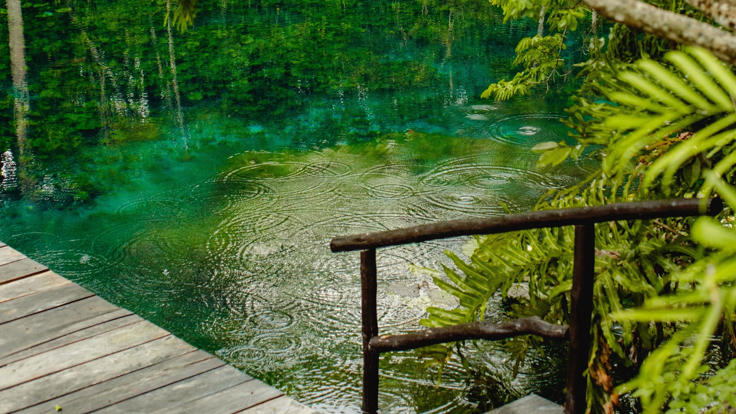 Global HY_P083 Park Cenote Nature