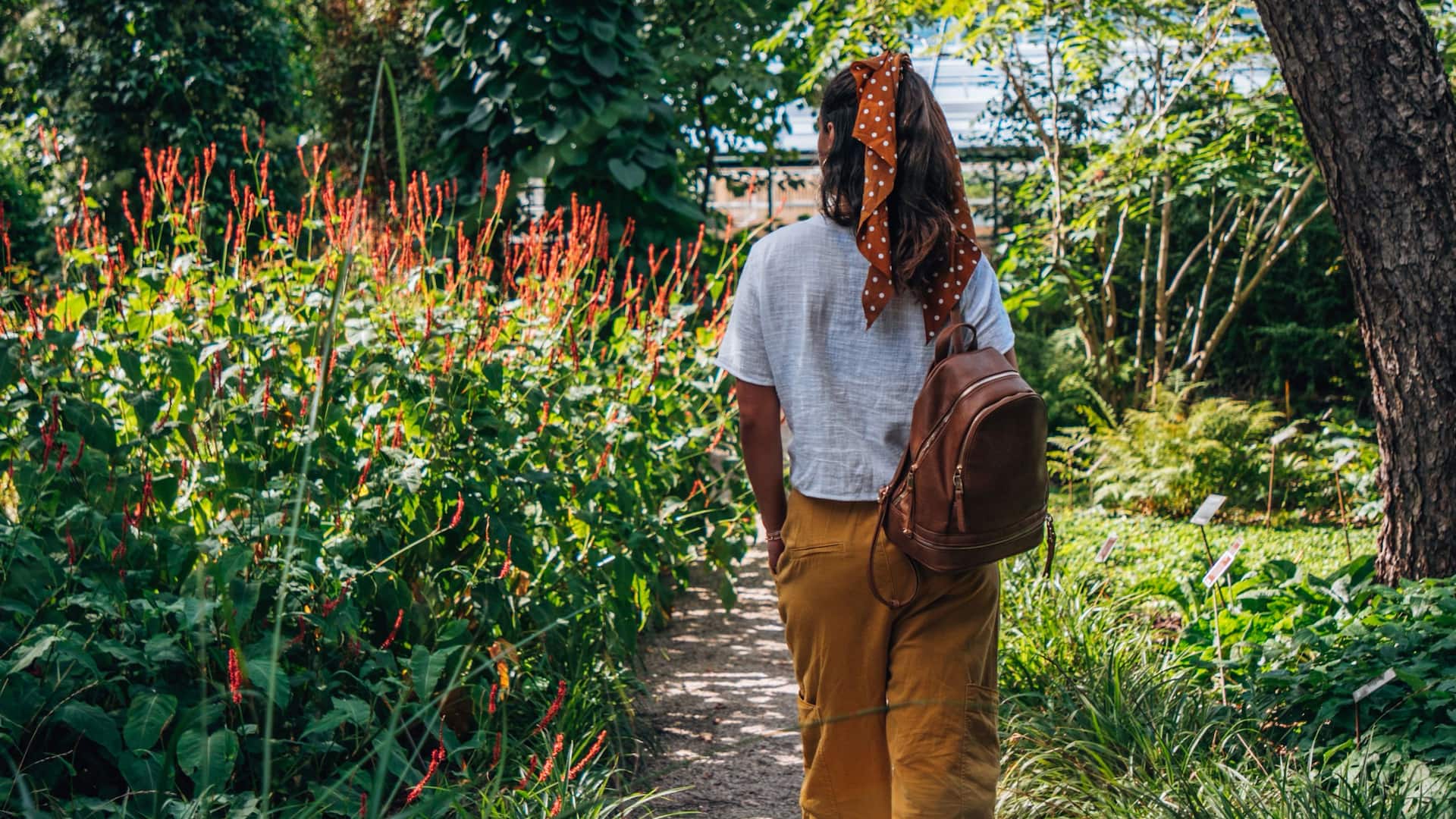 Hyatt Regency Amsterdam Botanical Gardens Walking