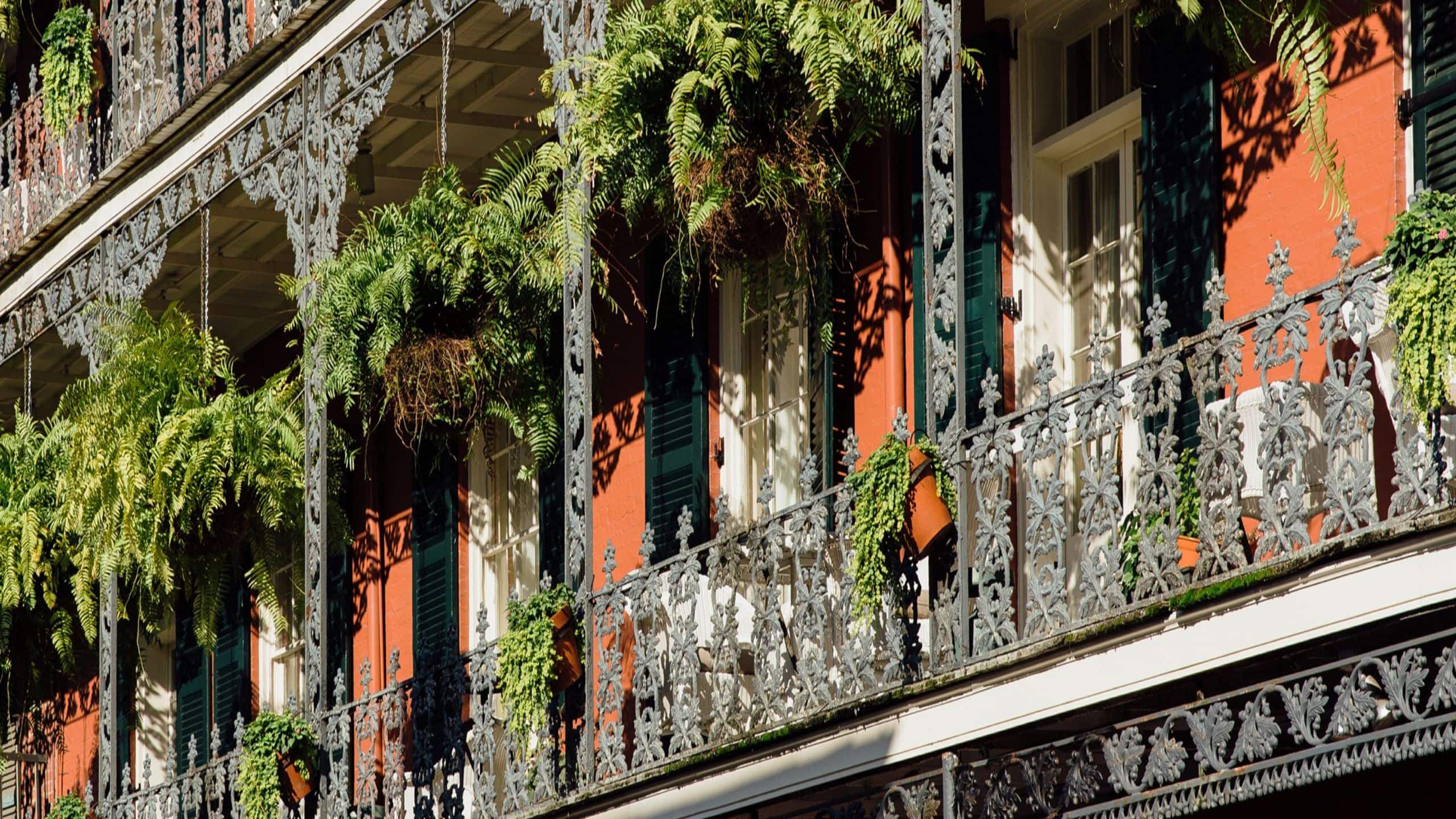 The Eliza Jane Royal Street Greenery