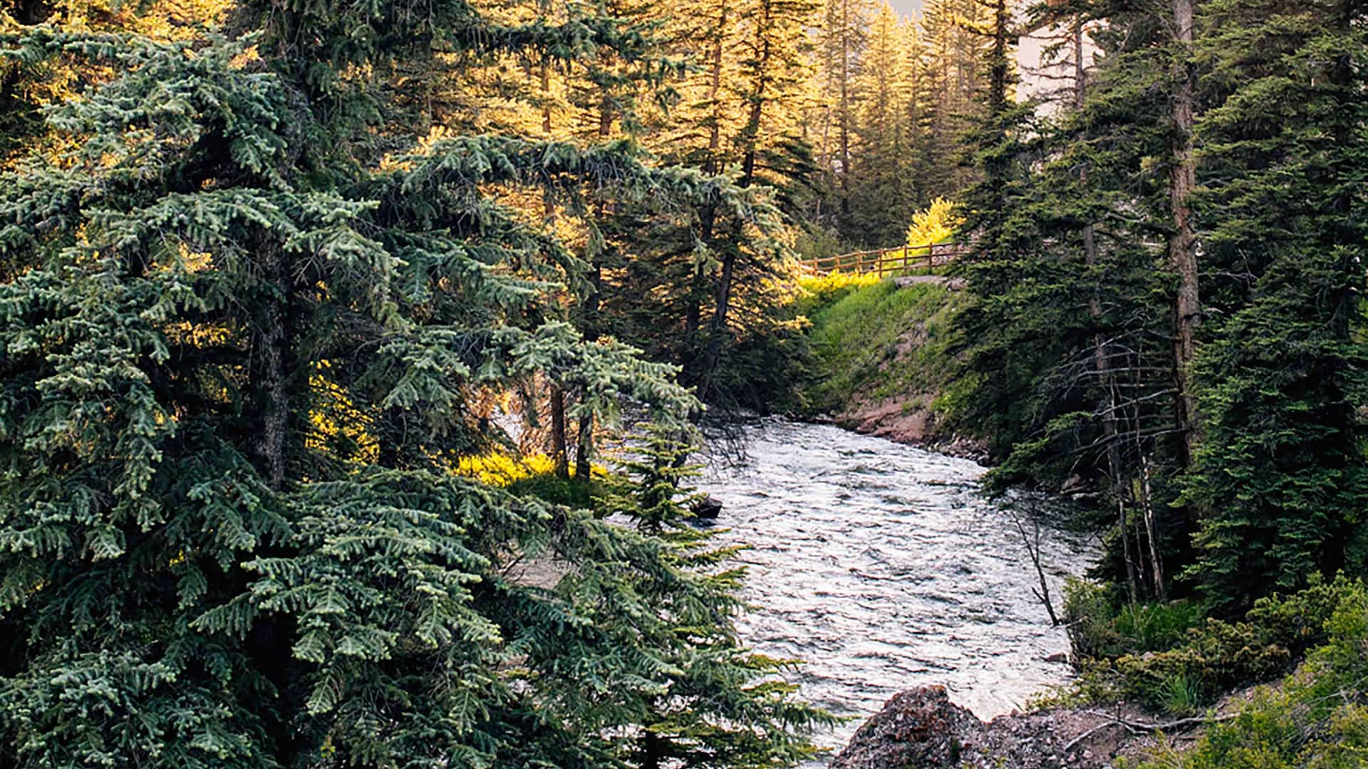 1 de 3 Grand Hyatt Vail Gore Creek