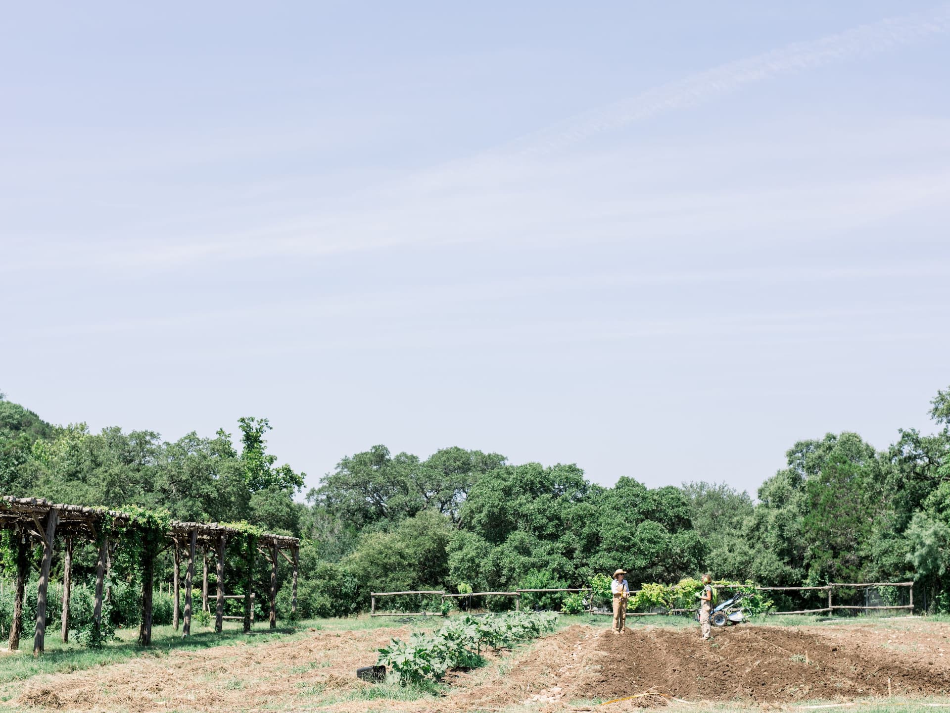 Global HY_P109 Cypress Creak Farm