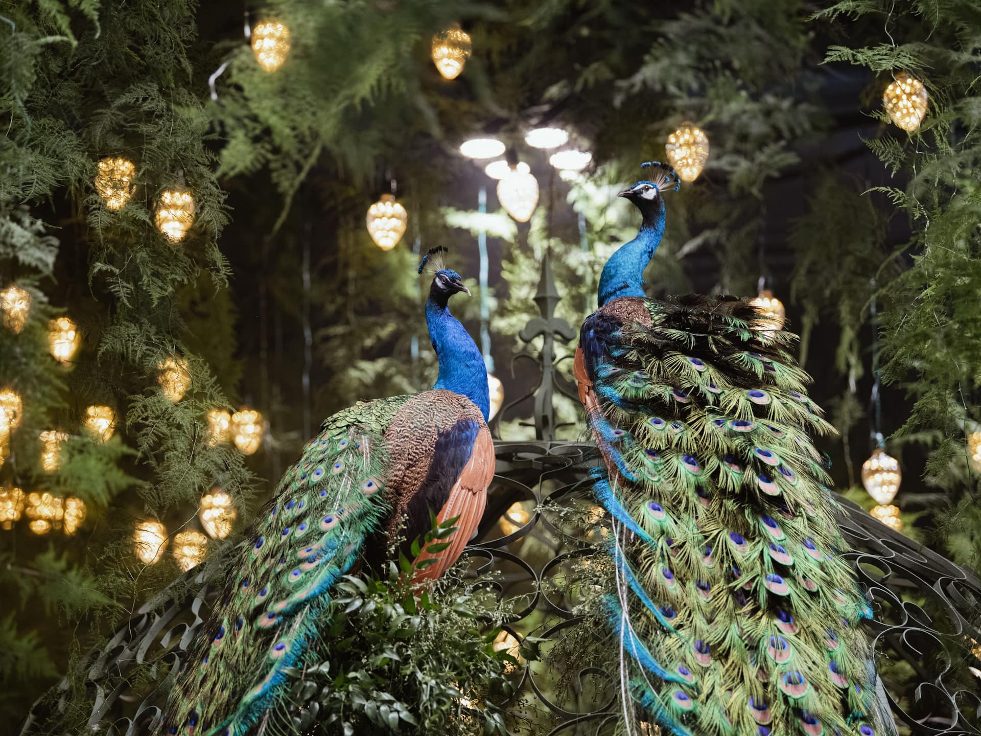 Grand Hyatt Erawan Bangkok Decoration Grand Ballroom