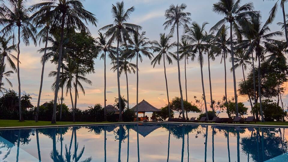 alila manggis