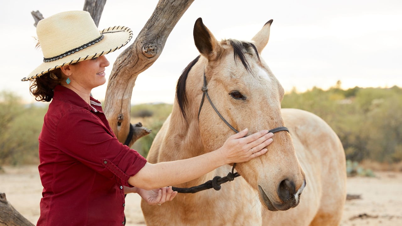 Horse