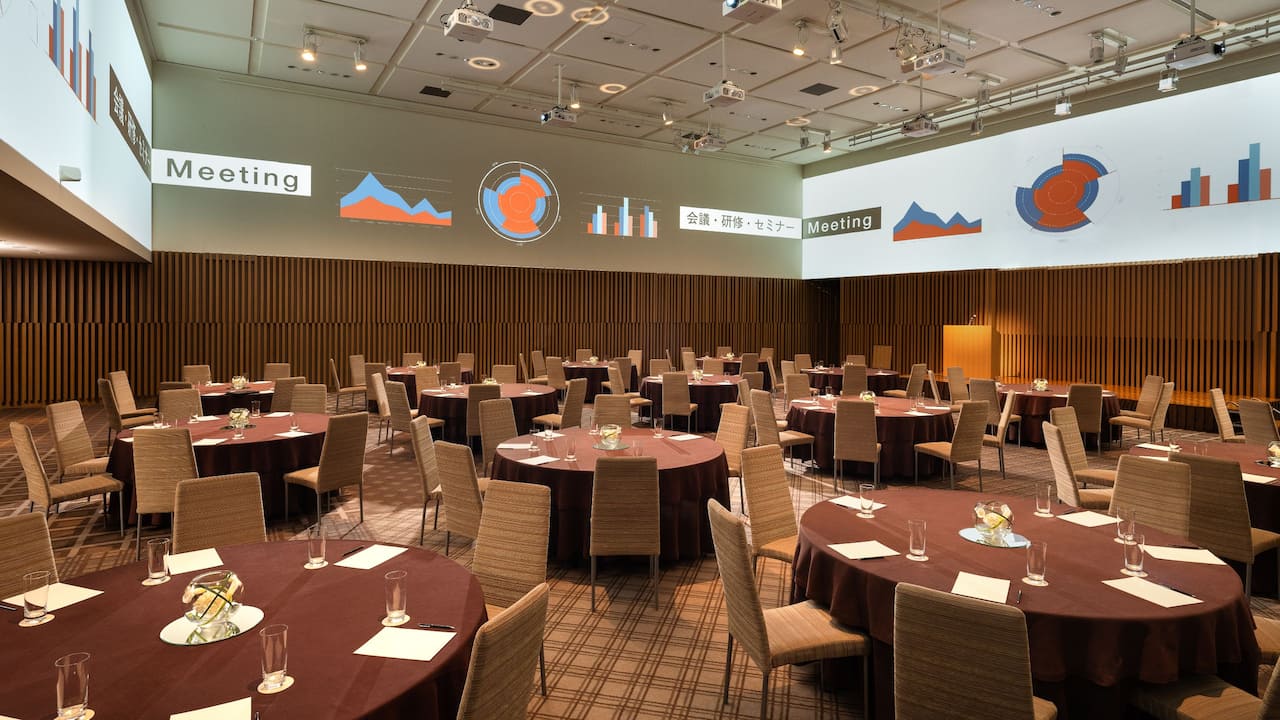 Ballroom surround projection system