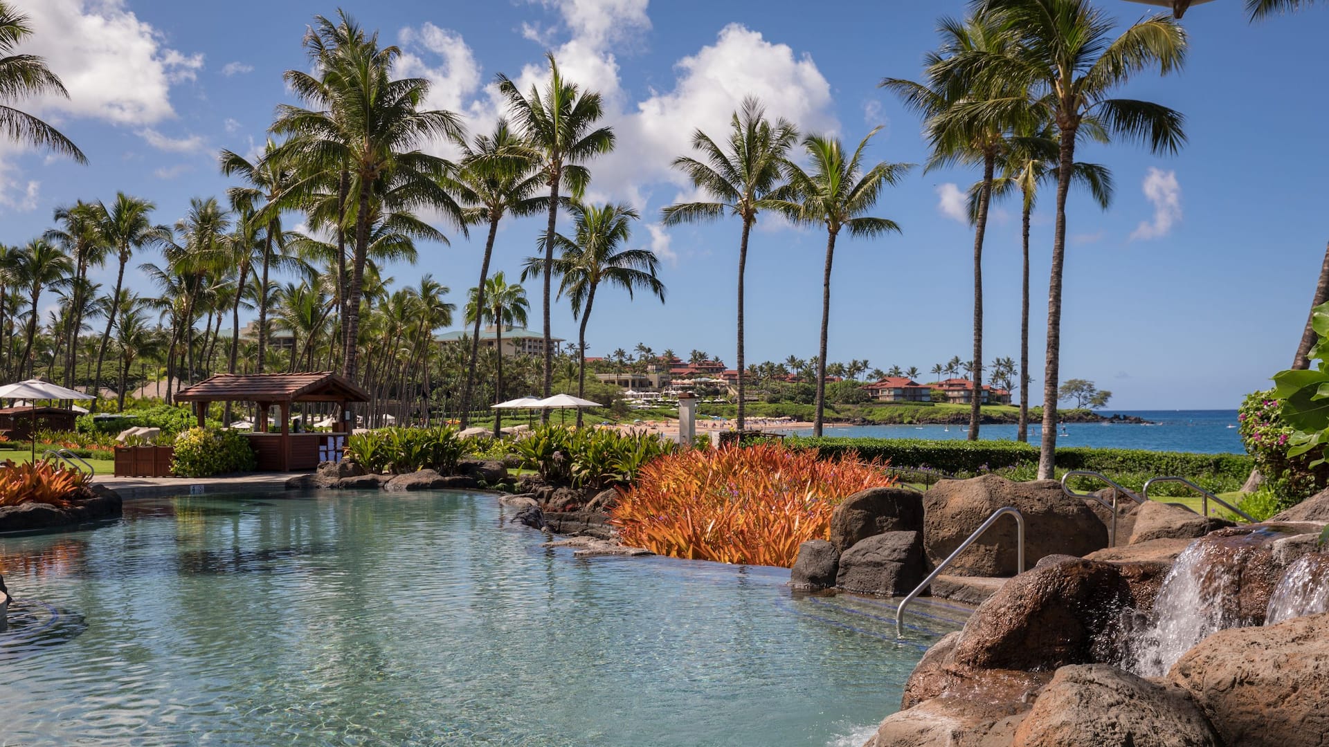 Adult Pool Beach View
