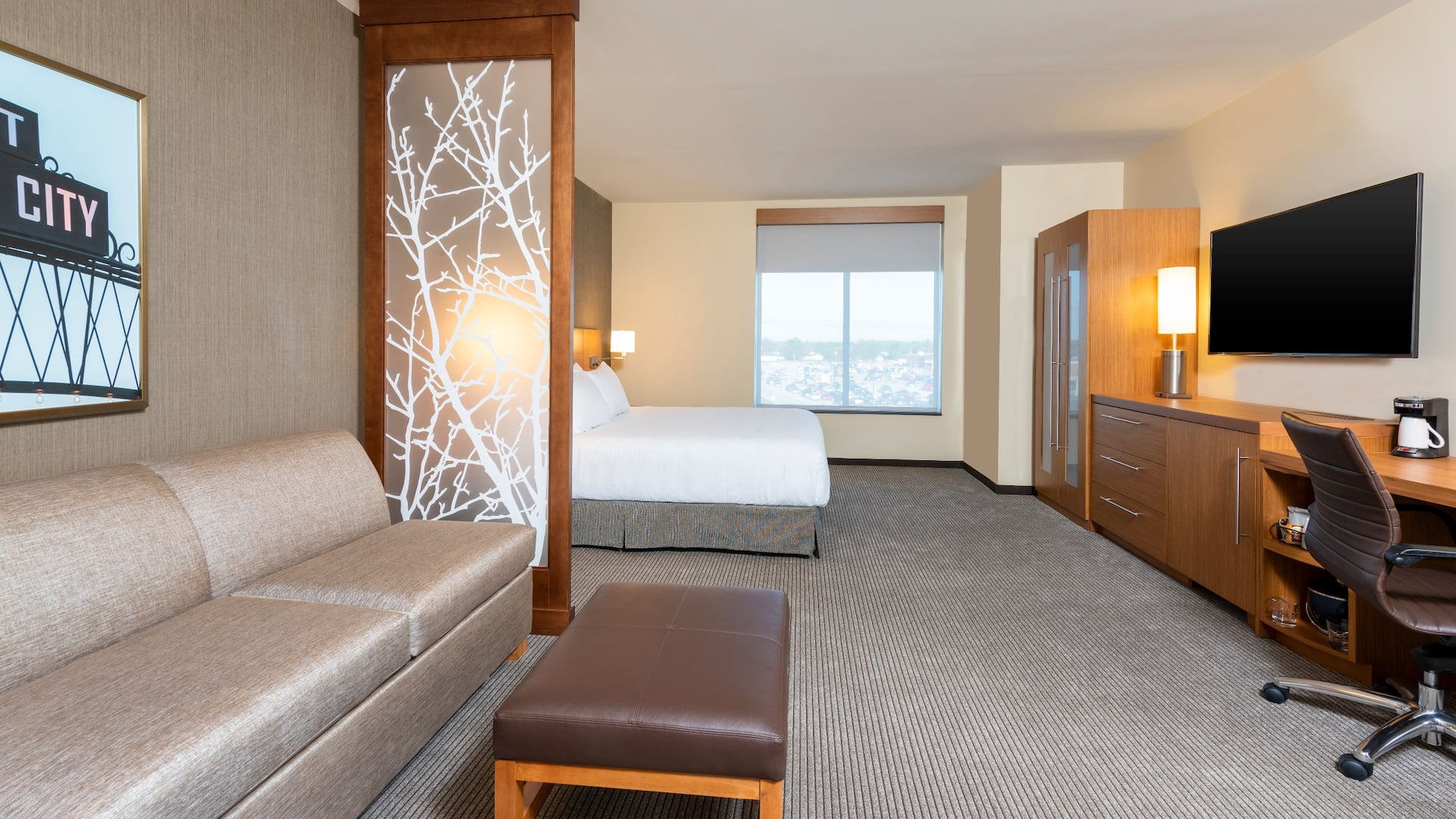 2 of 6 Hyatt Place Flint / Grand Blanc King Accessible Guestroom