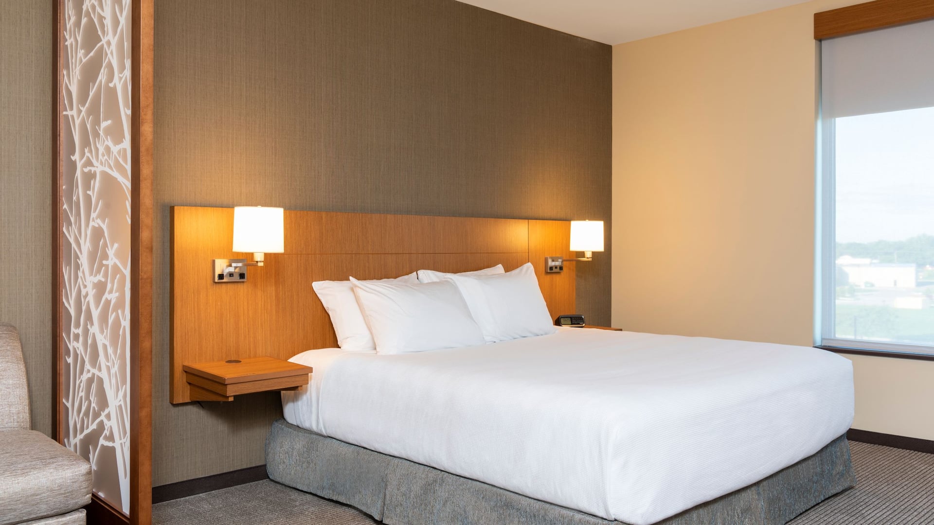 Hyatt Place Flint / Grand Blanc King Accessible Guestroom