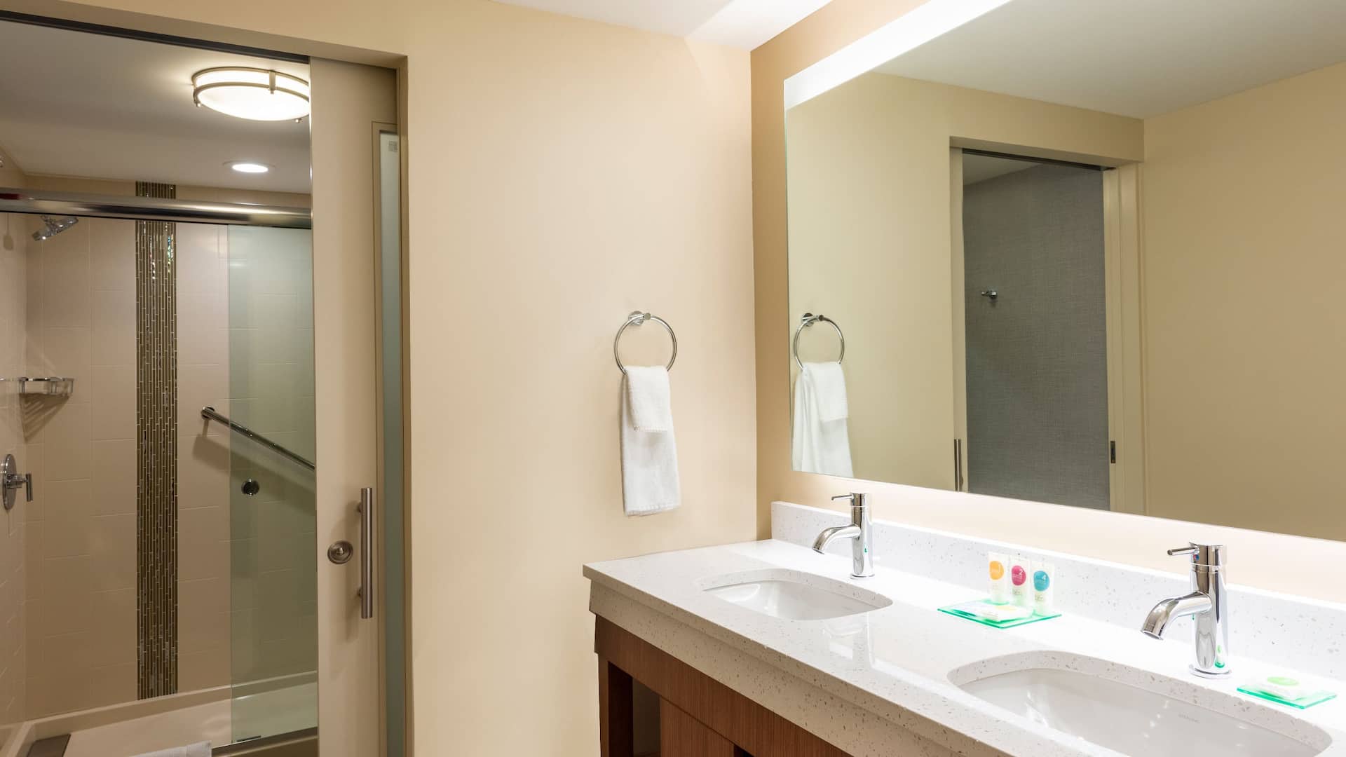 Hyatt Place Flint / Grand Blanc Specialty Bathroom with Shower