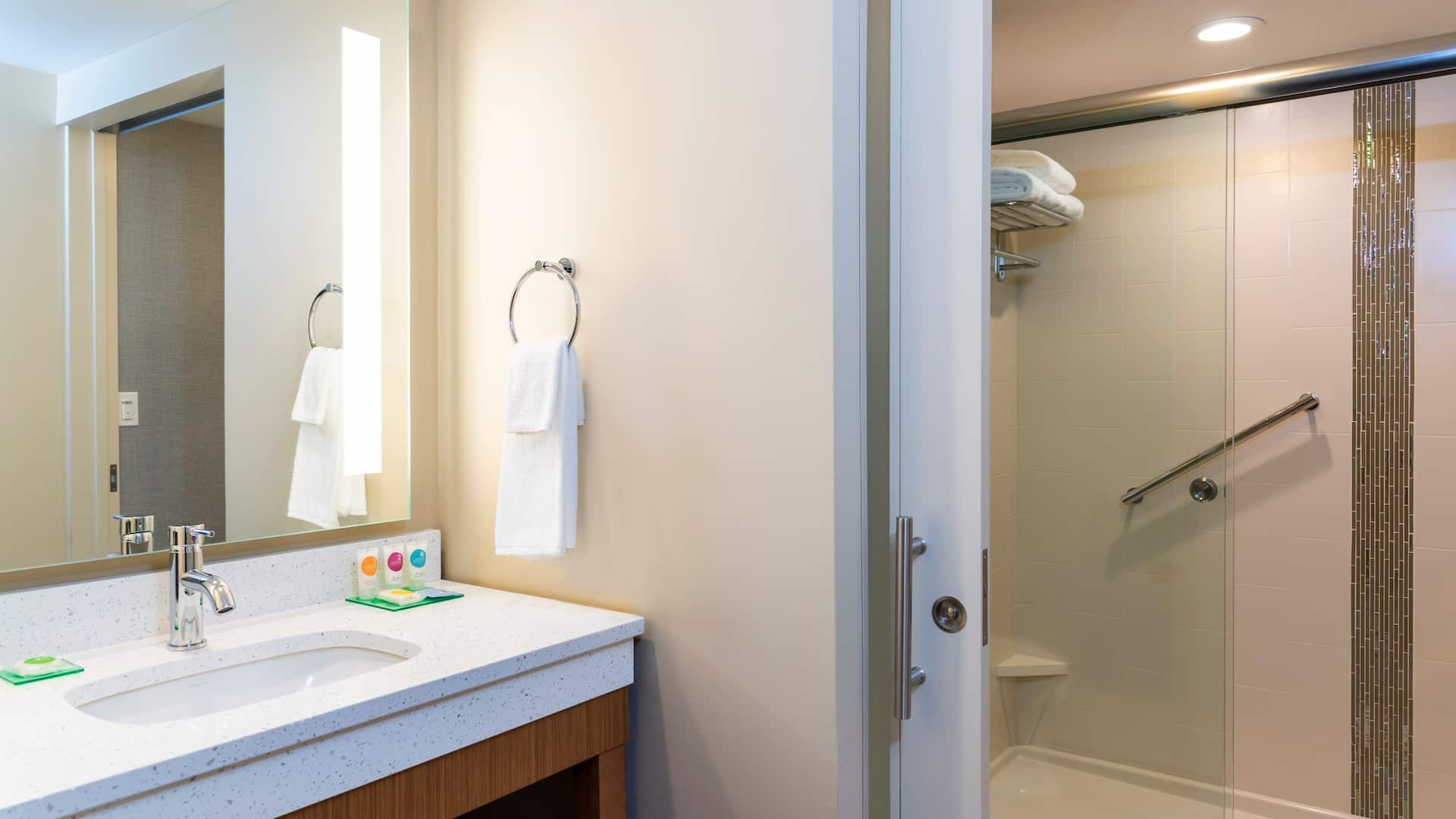 Hyatt Place Flint / Grand Blanc Specialty Bathroom with Shower