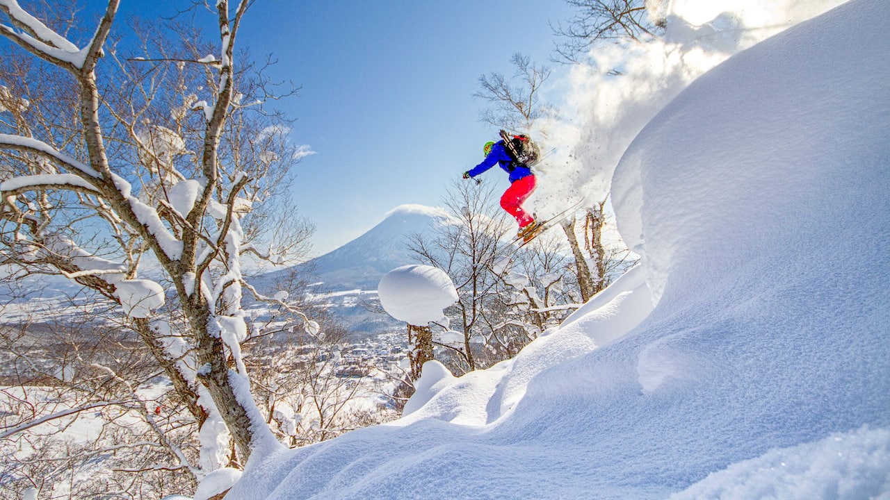 The Best of Niseko The Best of Niseko