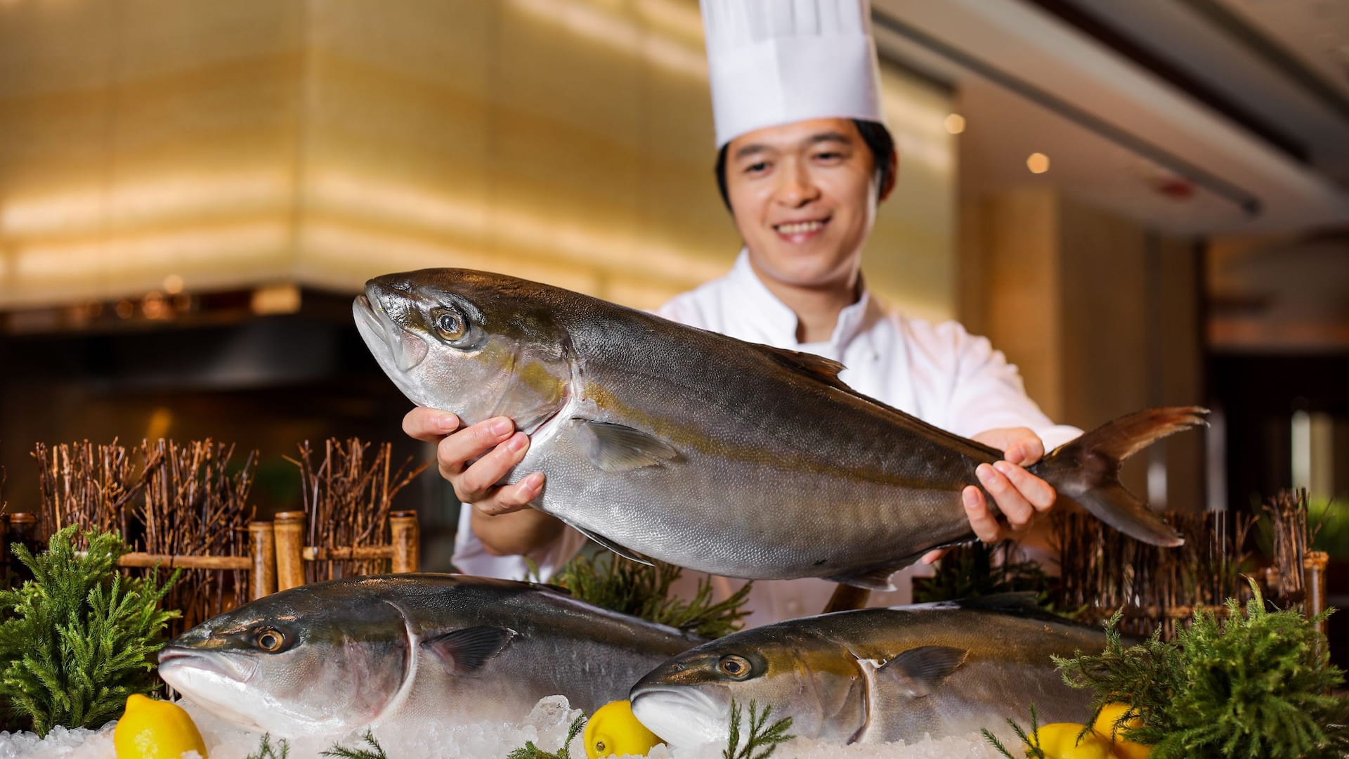 Hyatt Regency Hong Kong, Tsim Sha Tsui Cafe Sashimi Station
