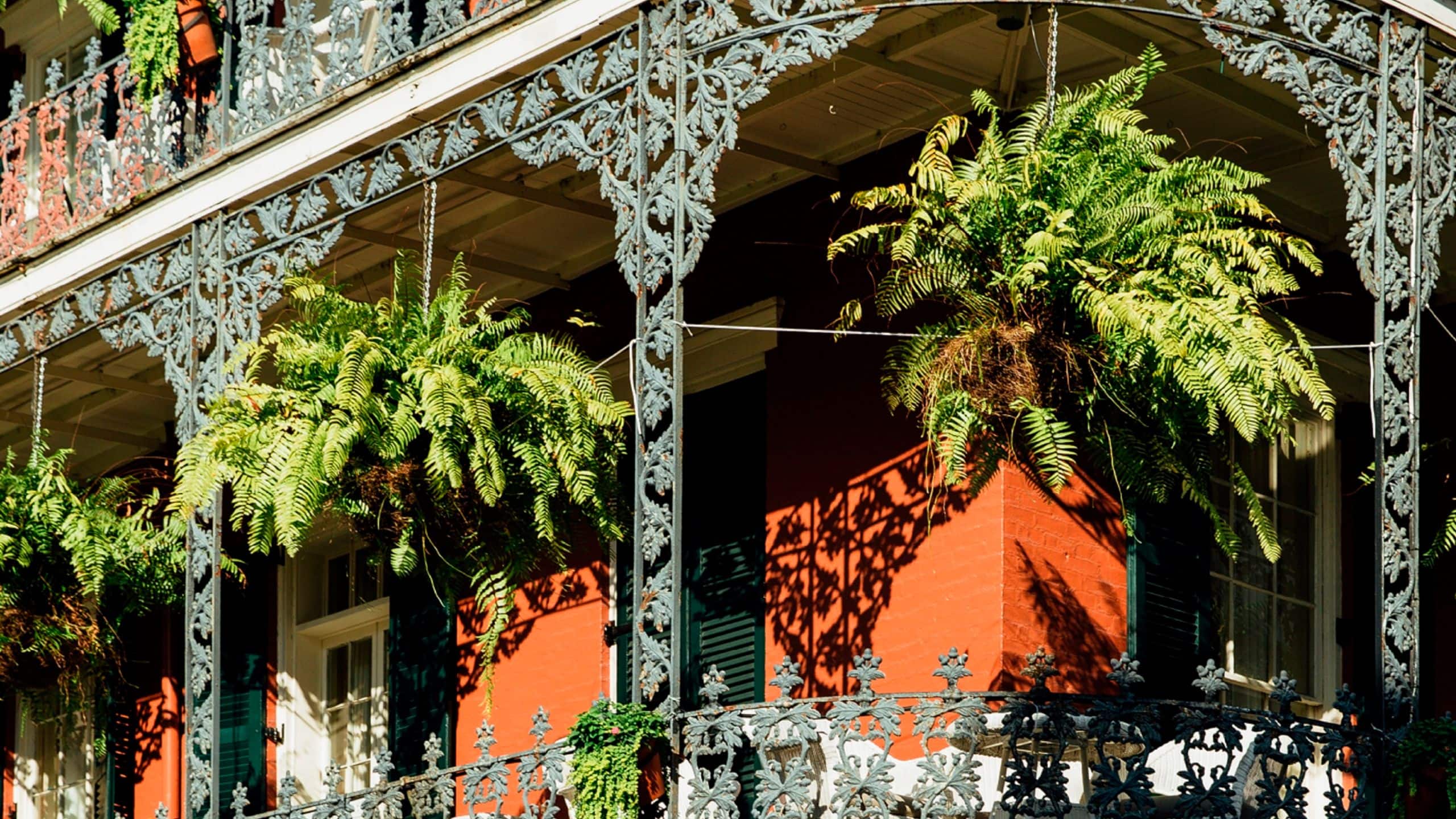 The Eliza Jane Royal St Balcony