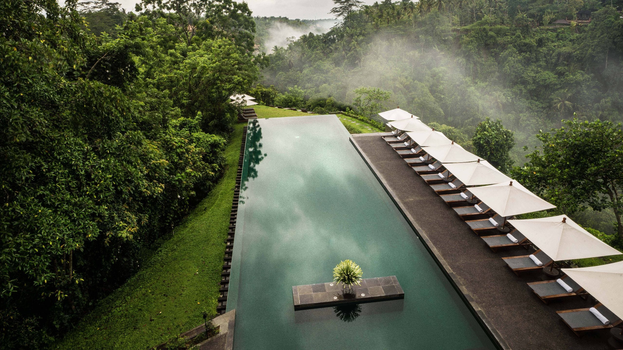 Alila Ubud Infinity Pool