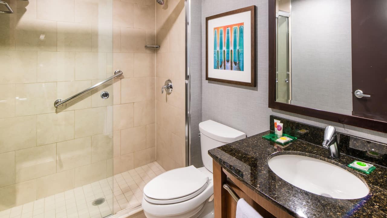 Shower Guest Bathroom