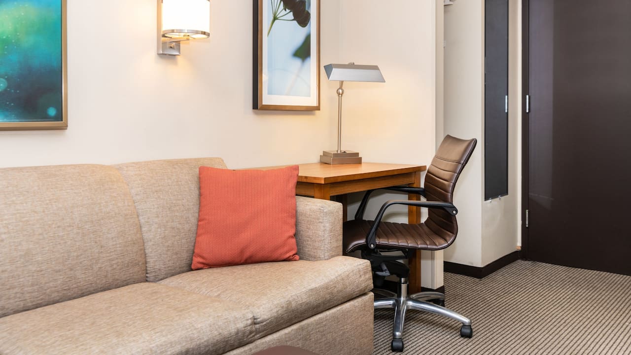 Sofabed in Guestroom