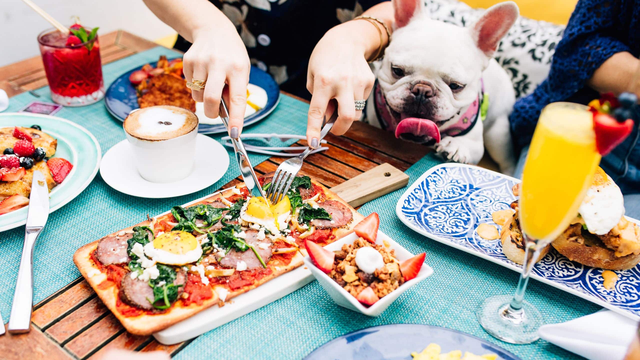 Hyatt Centric South Beach Miami Deck Sixteen Brunch Frenchie