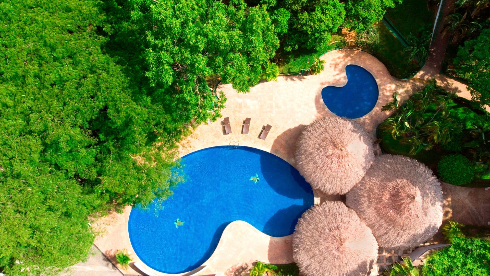 Hyatt Regency Villahermosa Pool