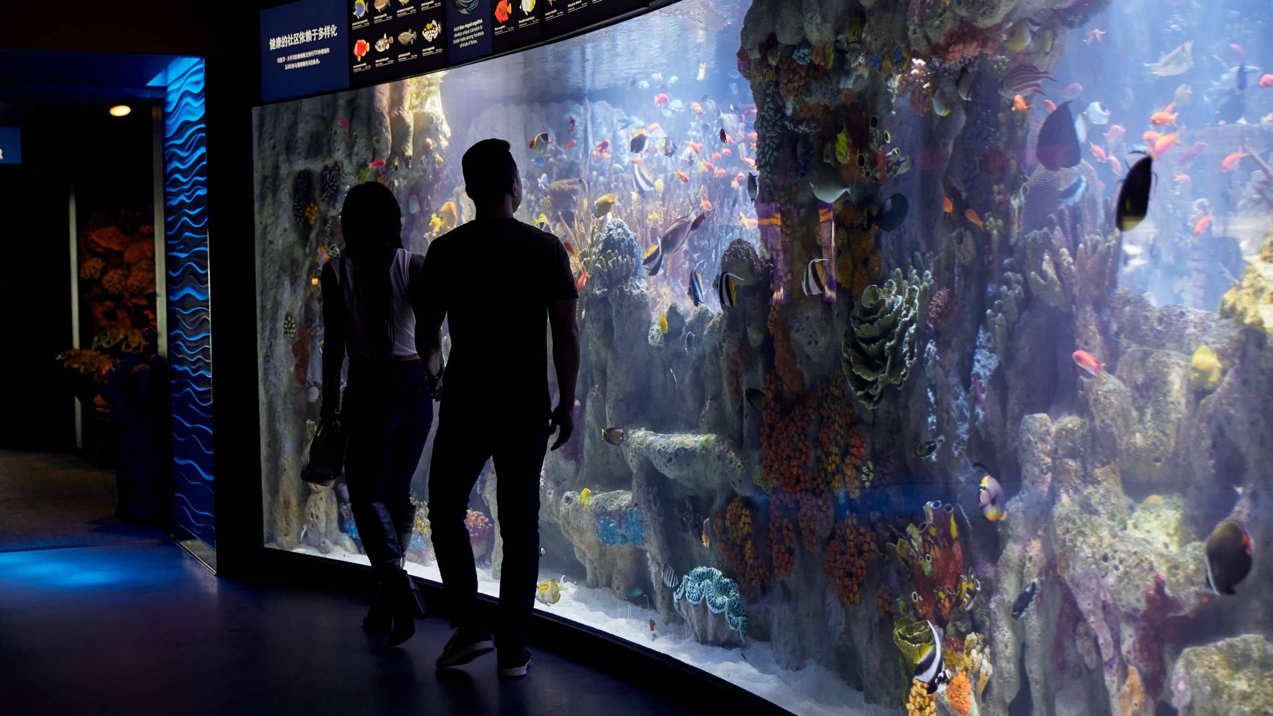 Global HY_P216 Boston Aquarium Couple