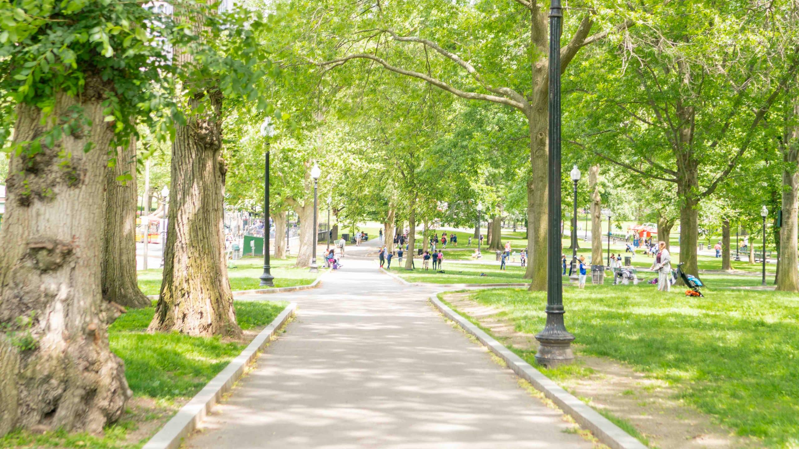 Hyatt Centric Faneuil Hall Boston Park Trails