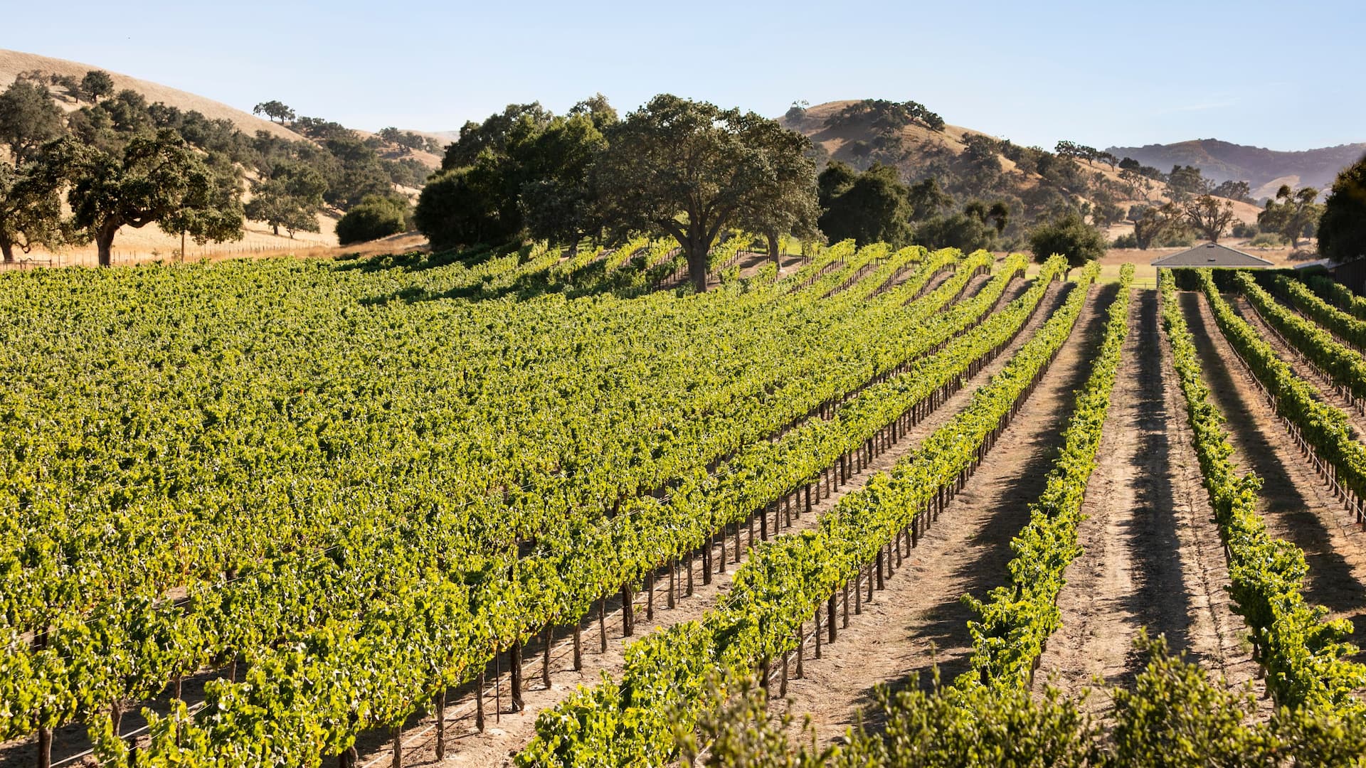 Hyatt Place Santa Barbara Destination Wine Country