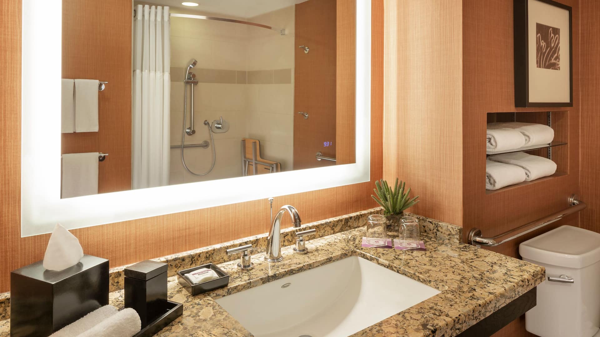 第 2，共 2 Hyatt Regency Phoenix Accessible Bathroom