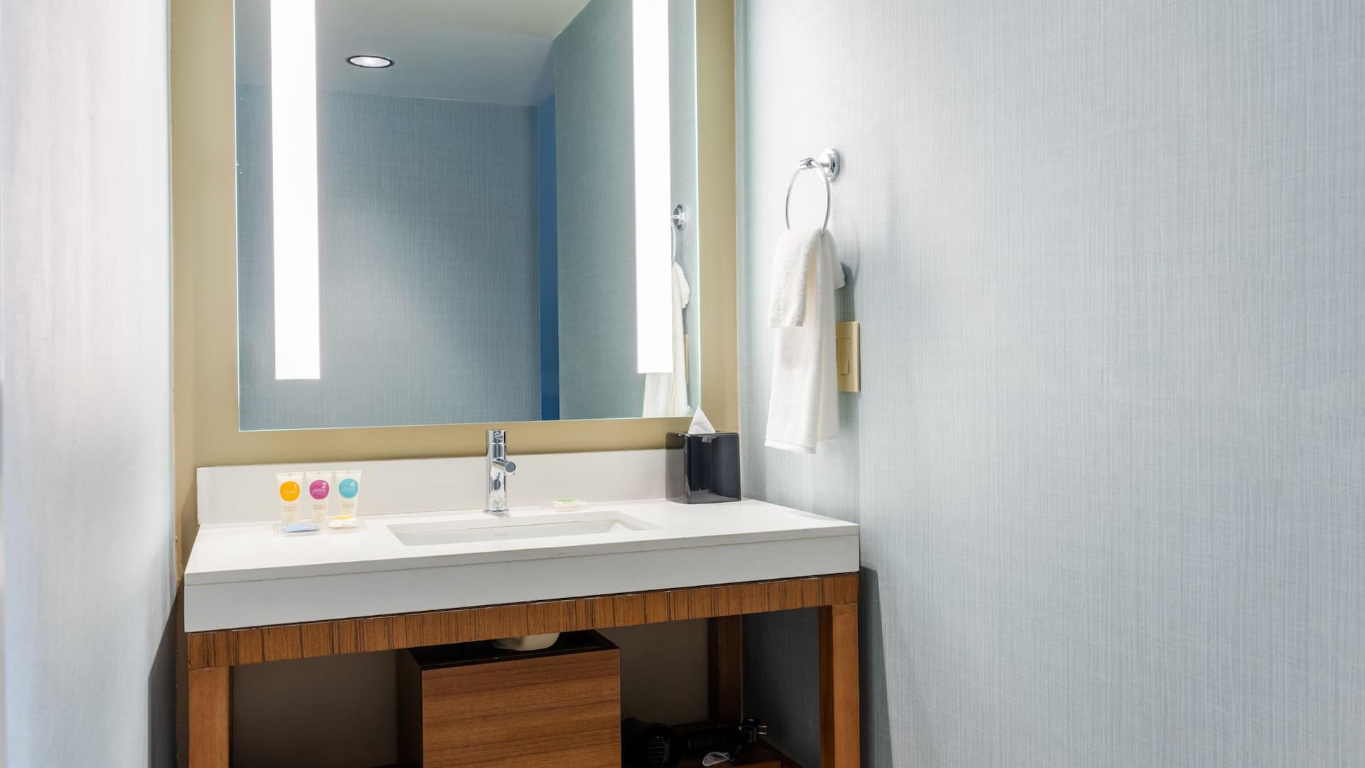 3/4 Hyatt Place Atlanta / Centennial Park ADA Bathroom