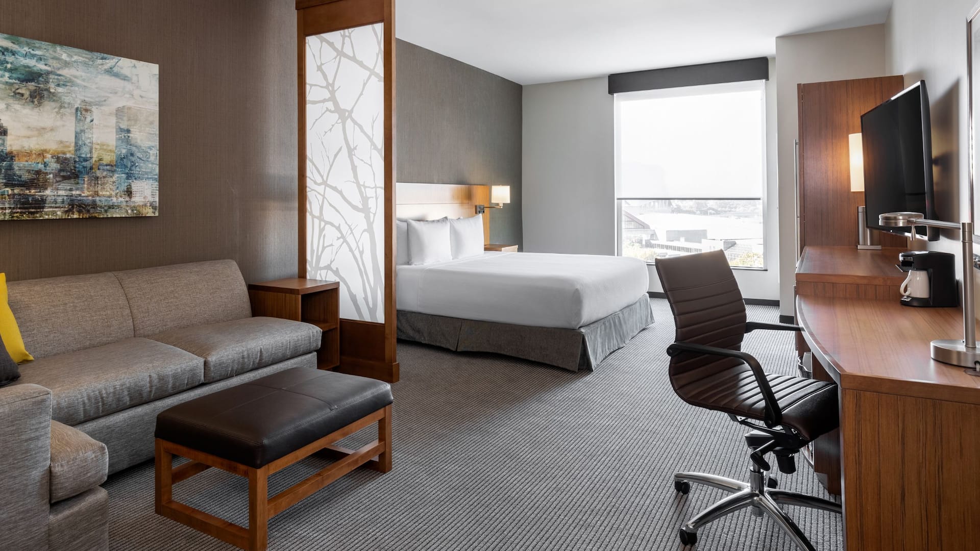 Hyatt Place Atlanta / Centennial Park ADA King