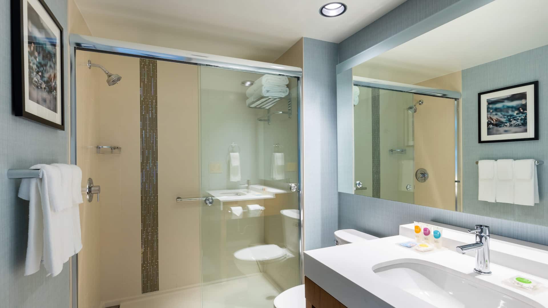 4/4 Hyatt Place Atlanta / Centennial Park Guest Bathroom