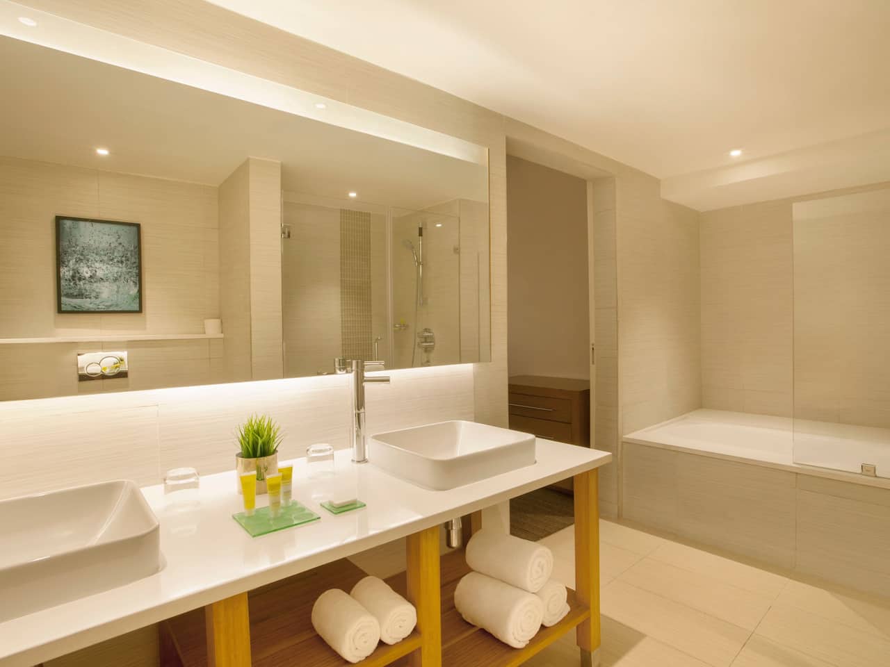 Large Suite Bathroom