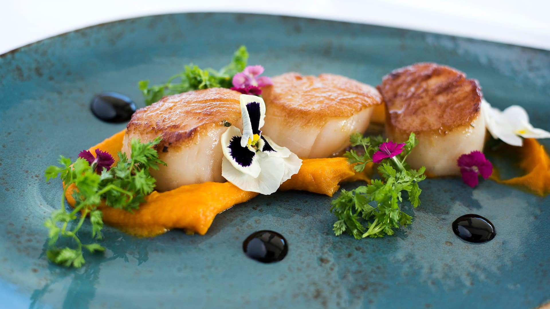 Hyatt Regency Mission Bay Spa and Marina Red Marlin Scallops