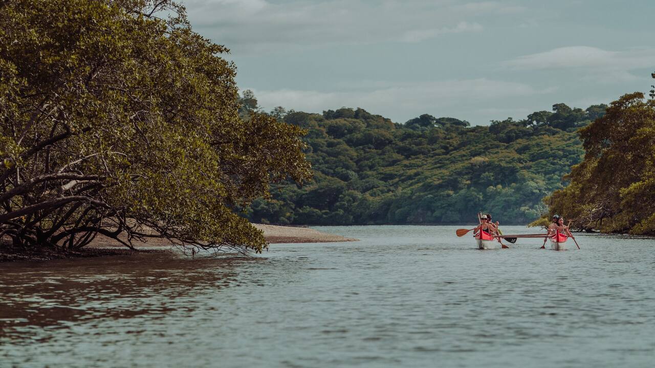 Outrigger Canoe Tour Mangrove