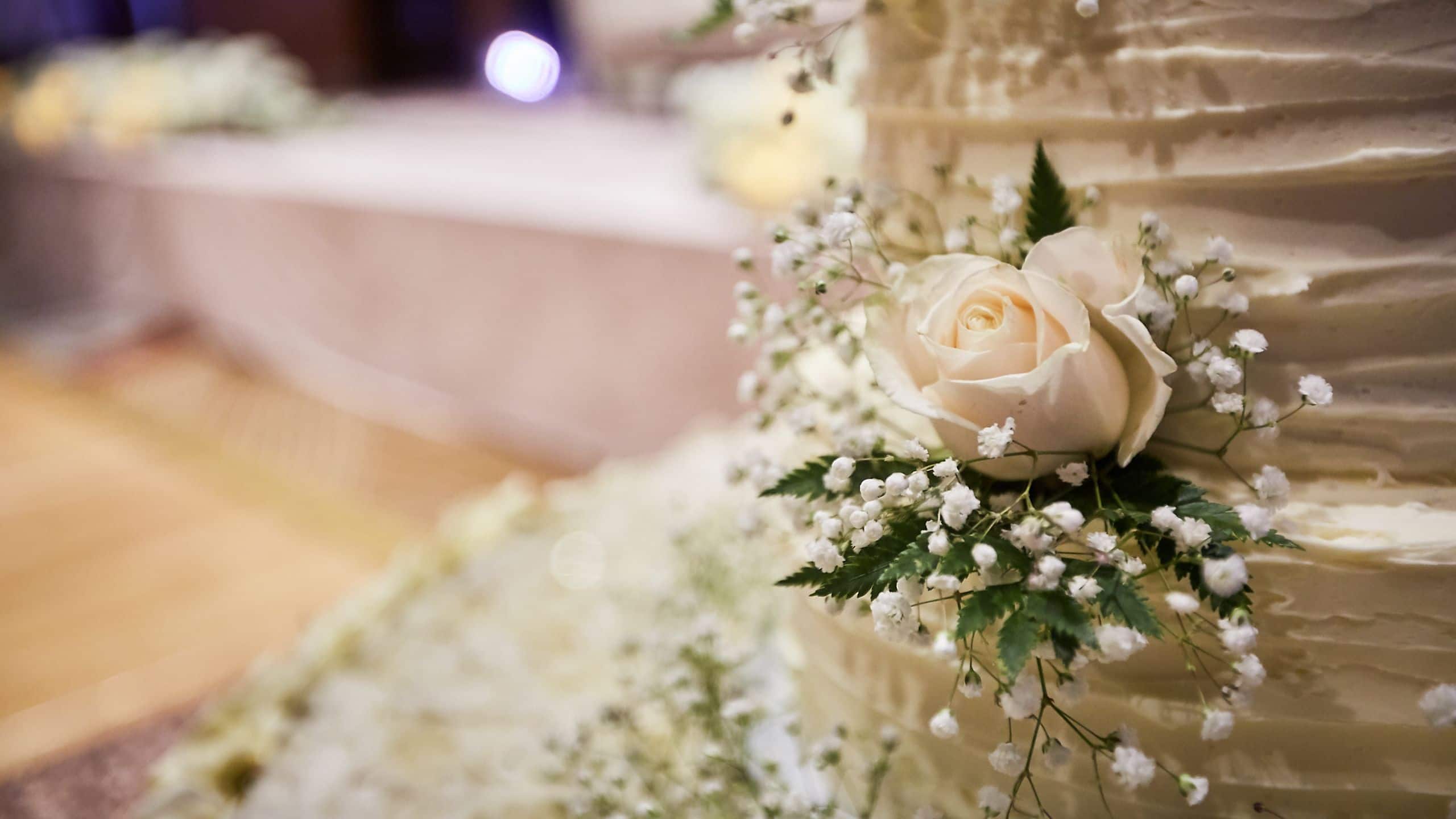 Hyatt at Olive 8 Cake Detail