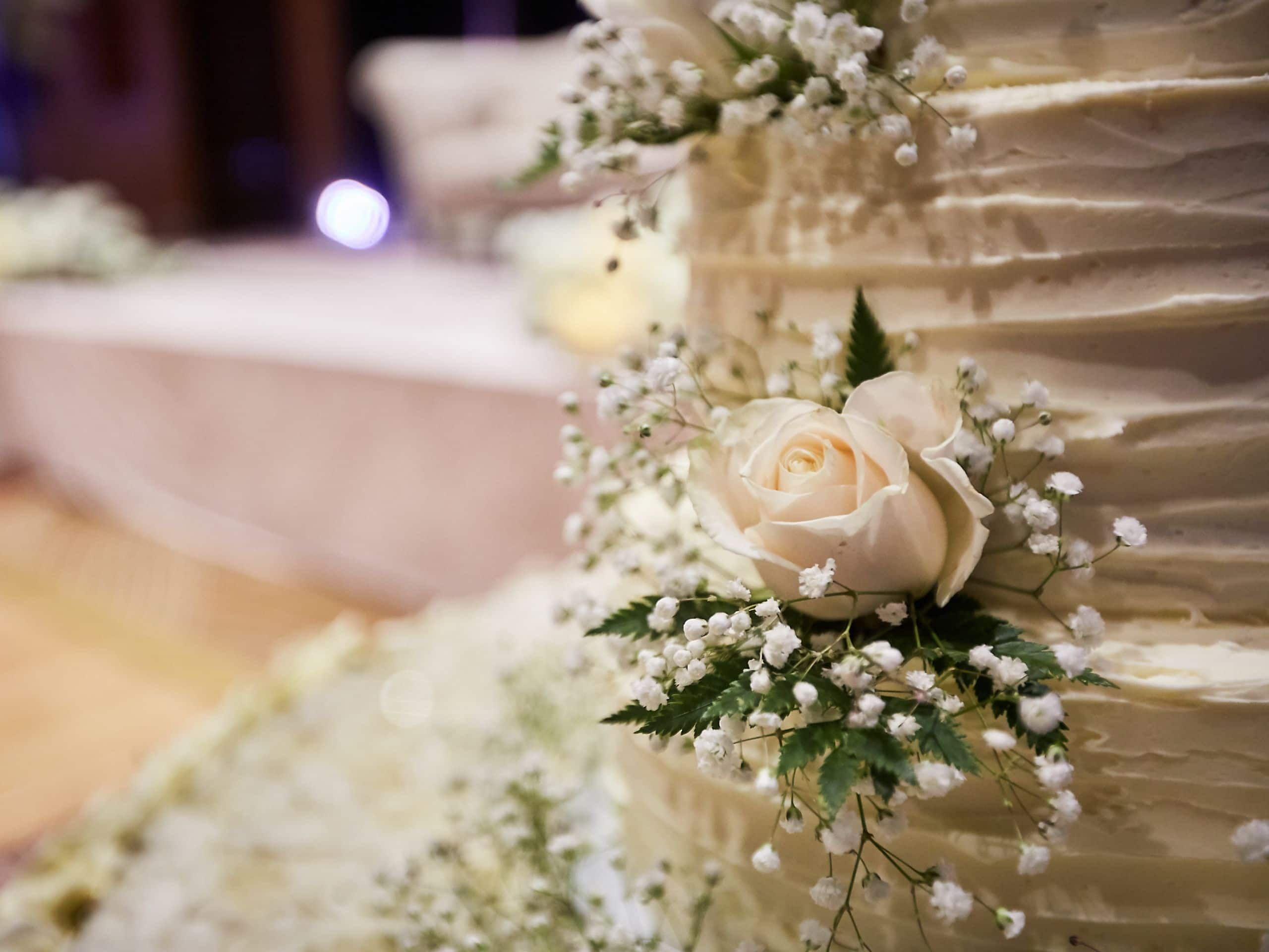 Hyatt at Olive 8 Cake Detail