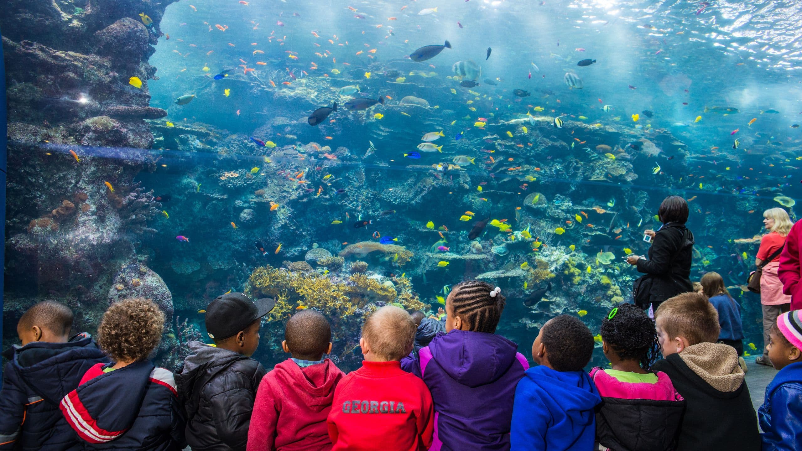 Hyatt Regency Atlanta Aquarium School Group