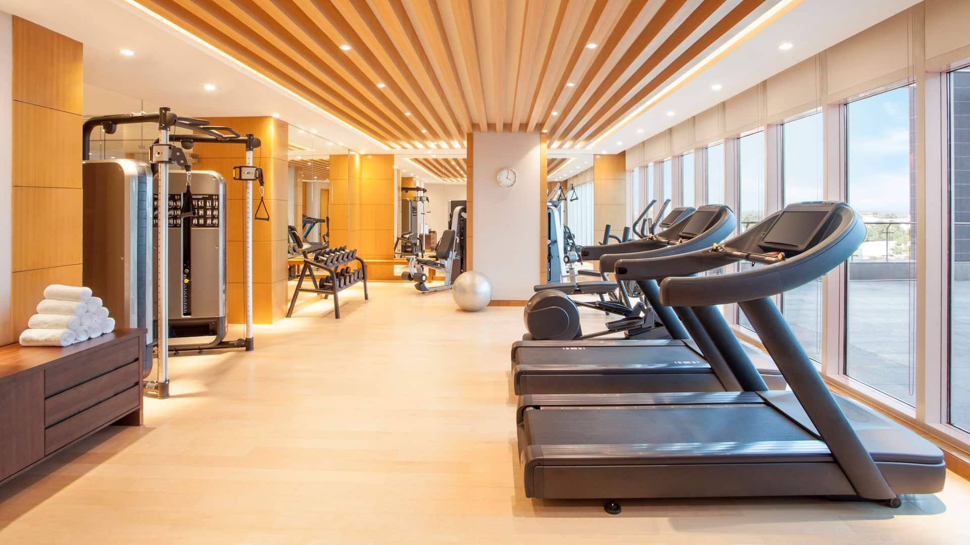 Hyatt Regency Thrissur Fitness Centre