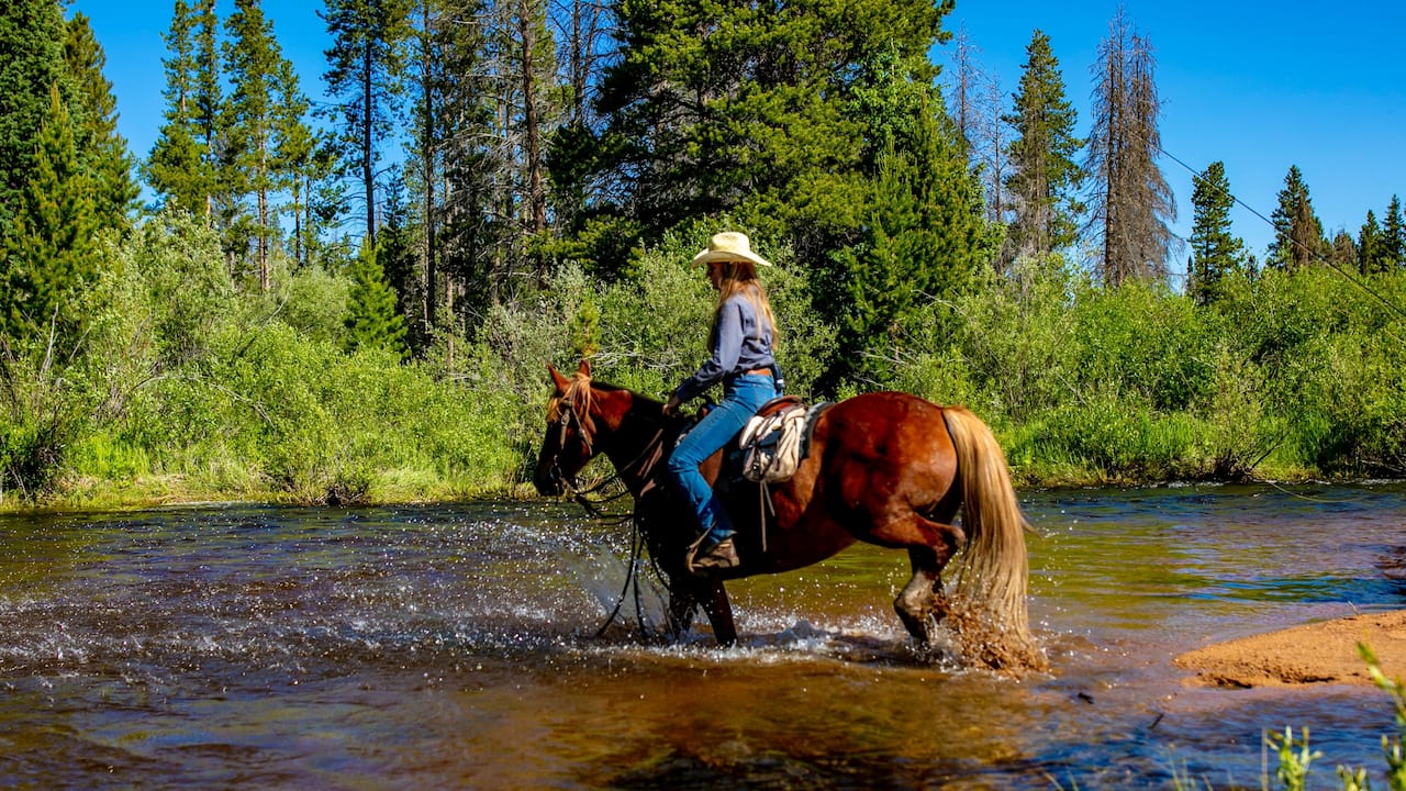 Horseback Riding