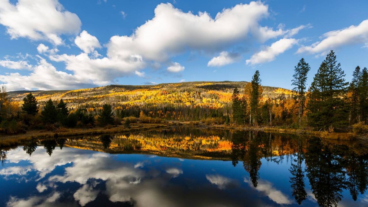 Pond