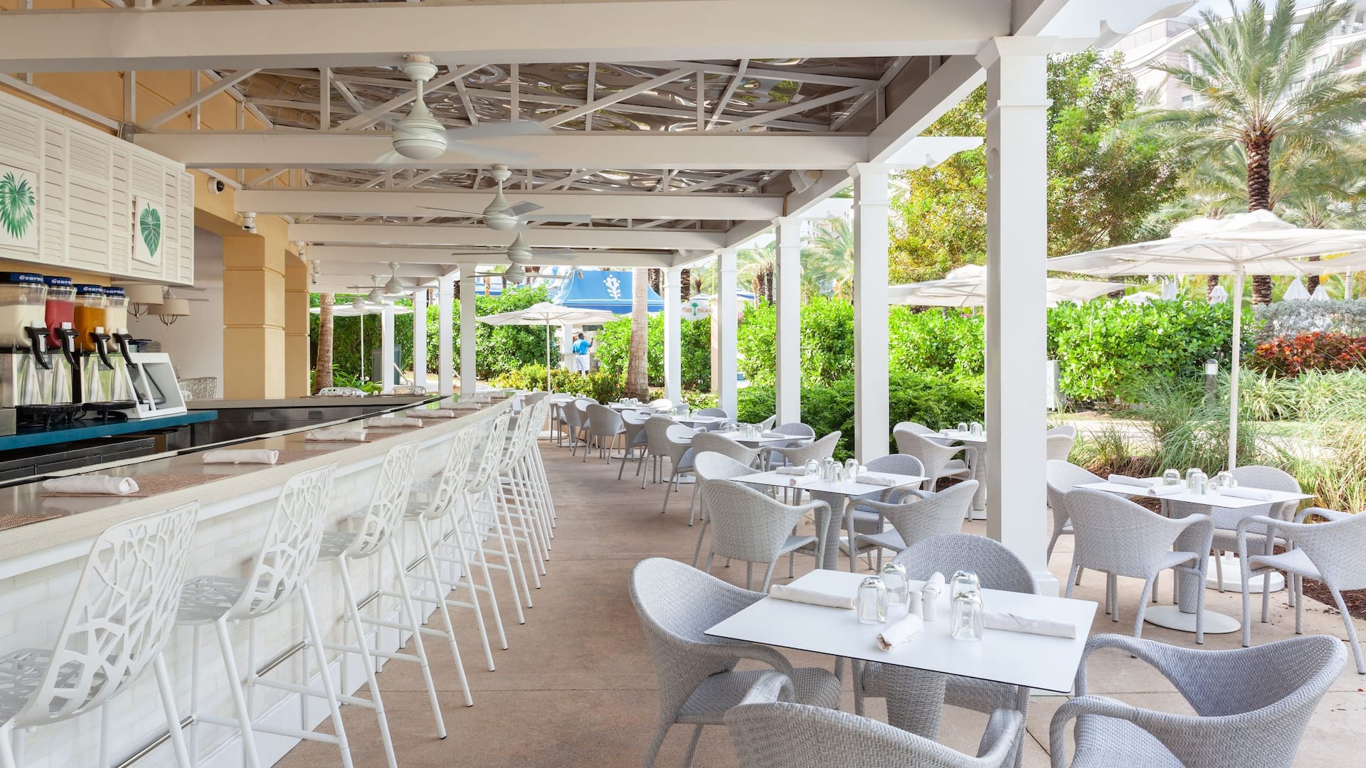1 of 1 Grand Hyatt Baha Mar The Palms Restaurant Patio