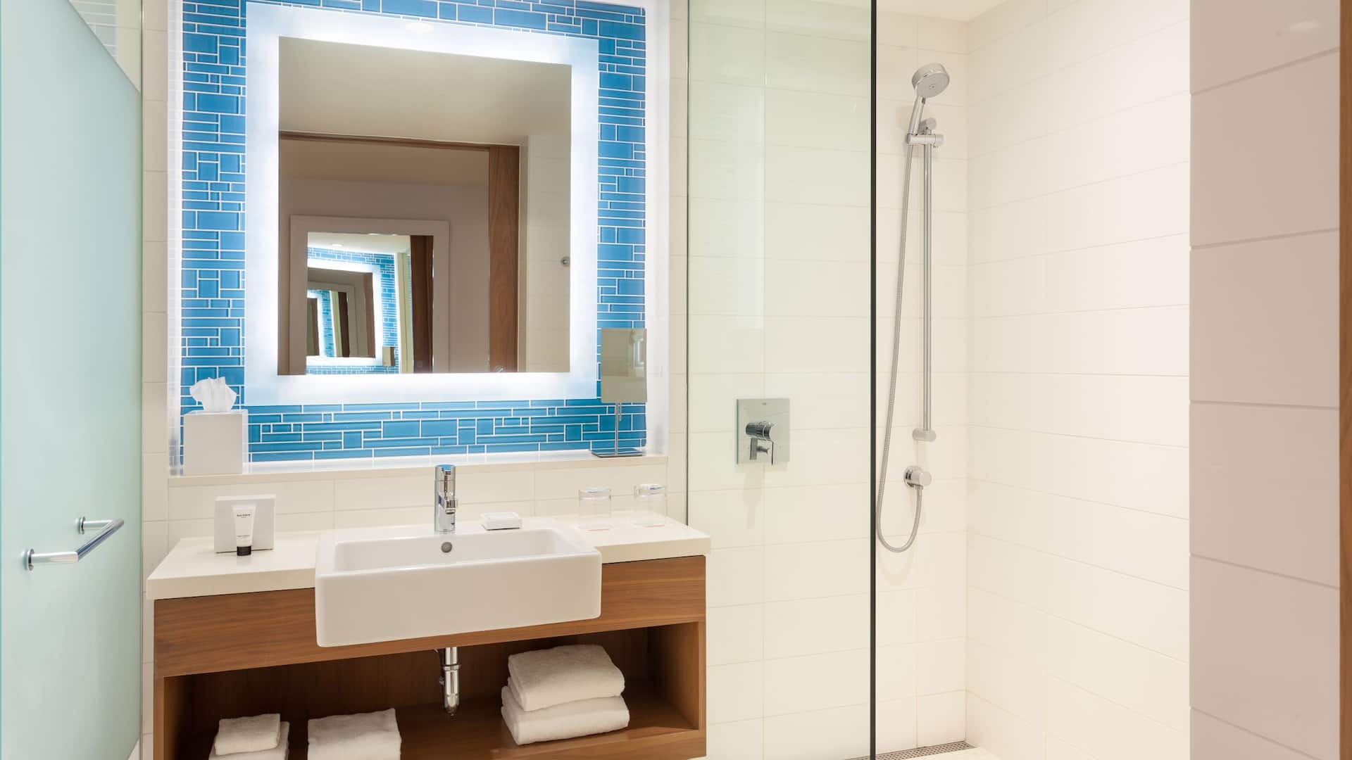 3/3 Grand Hyatt Baha Mar One Bedroom Bathroom