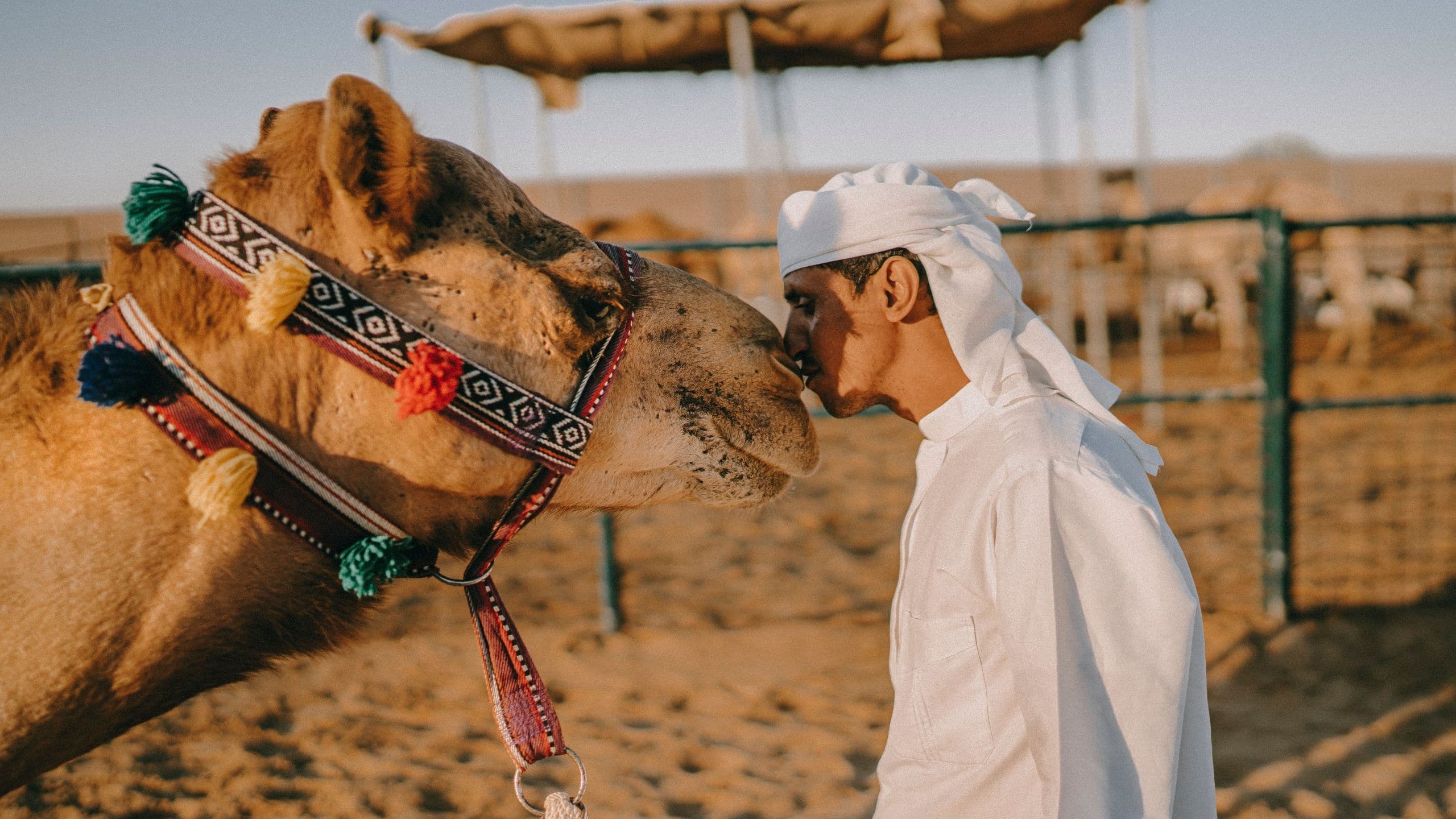 Andaz Dubai The Palm Location Desert Camel
