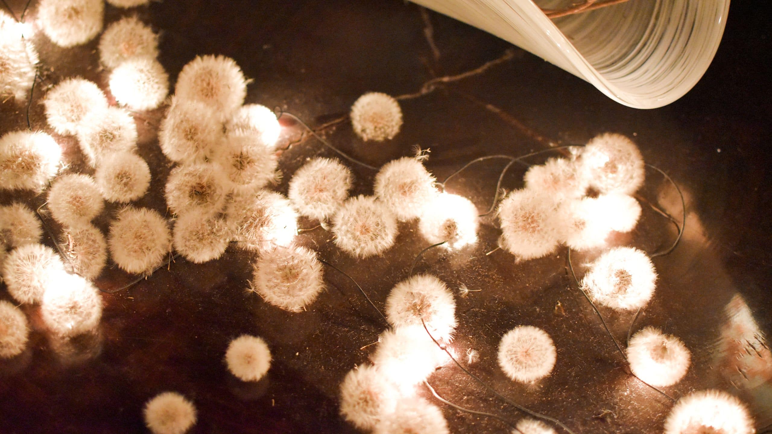 Hyatt Centric Kanazawa Himito Dandelion Lights