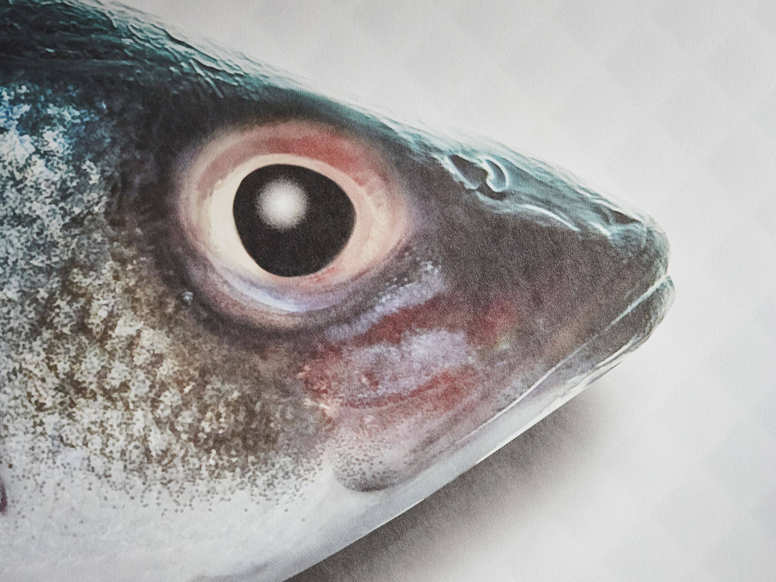 Andaz Amsterdam Prinsengracht Guestroom Fish